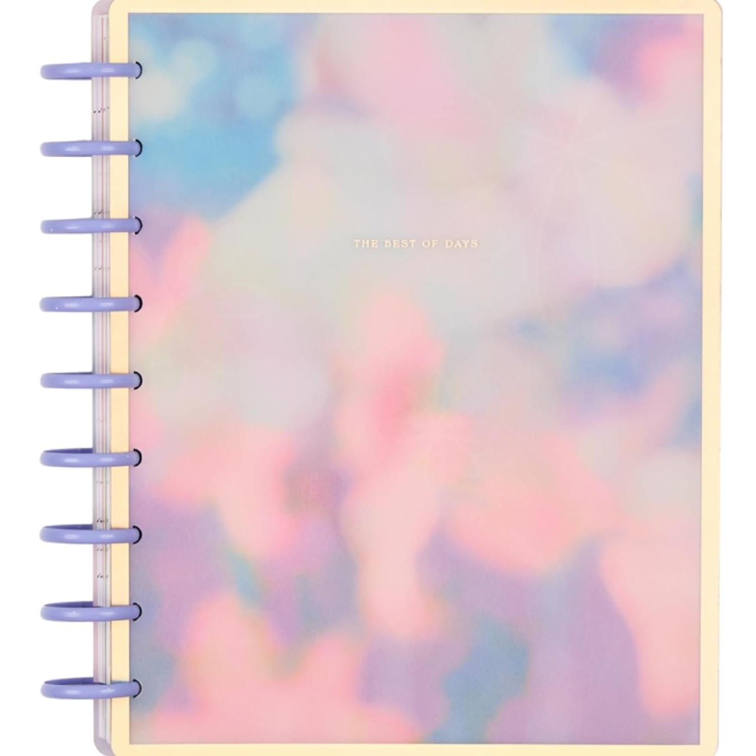 Happy Planner Disc-Bound Planner July 2026–June 2027, Includes 3 Extra and 2…