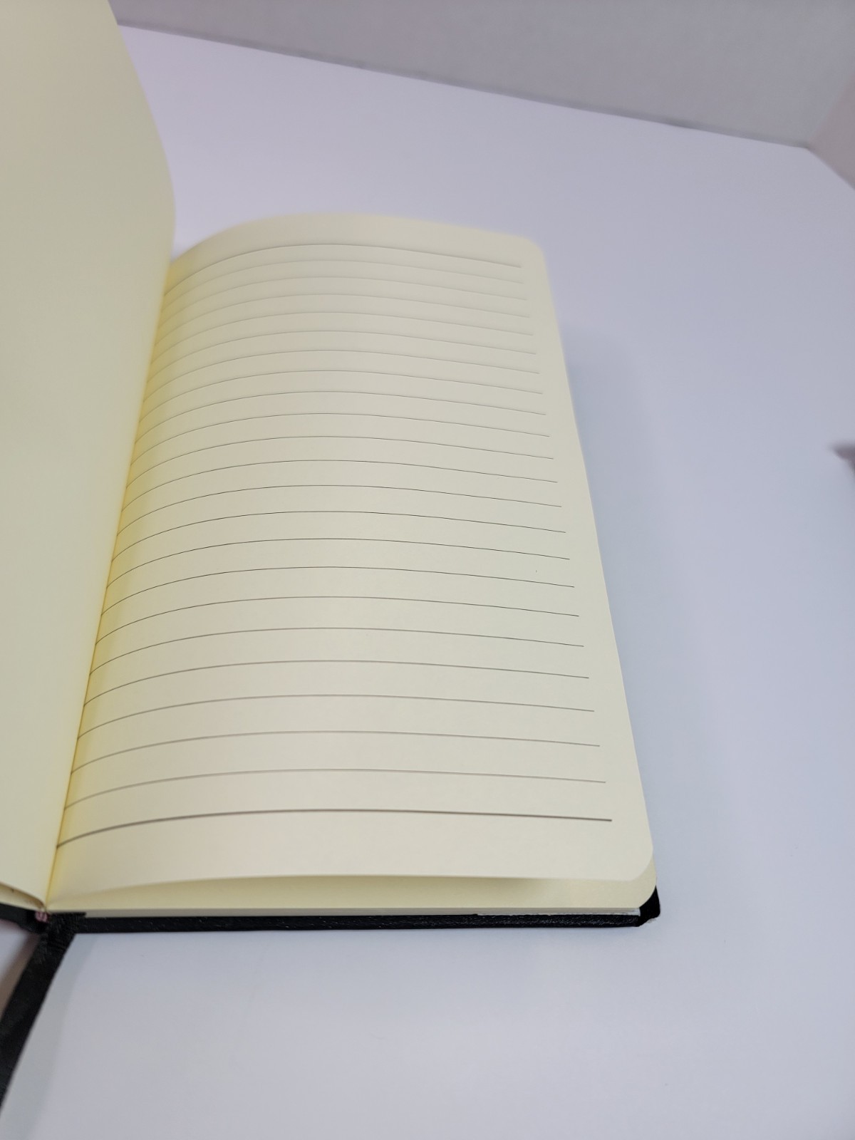 Laura Peirano Naturalismo Owl Inspire Journal Notebook Lined Pages Bookmark…