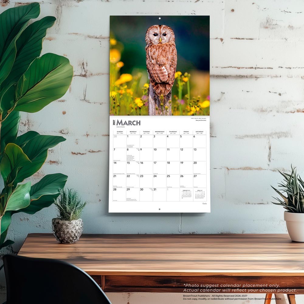 Owls | 2027 12×24″ (Hanging) Monthly Square Wall Calendar | Plastic-Free