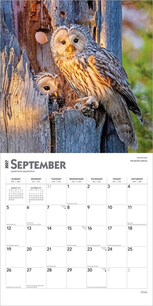 Owls | 2027 12×24″ (Hanging) Monthly Square Wall Calendar | Plastic-Free
