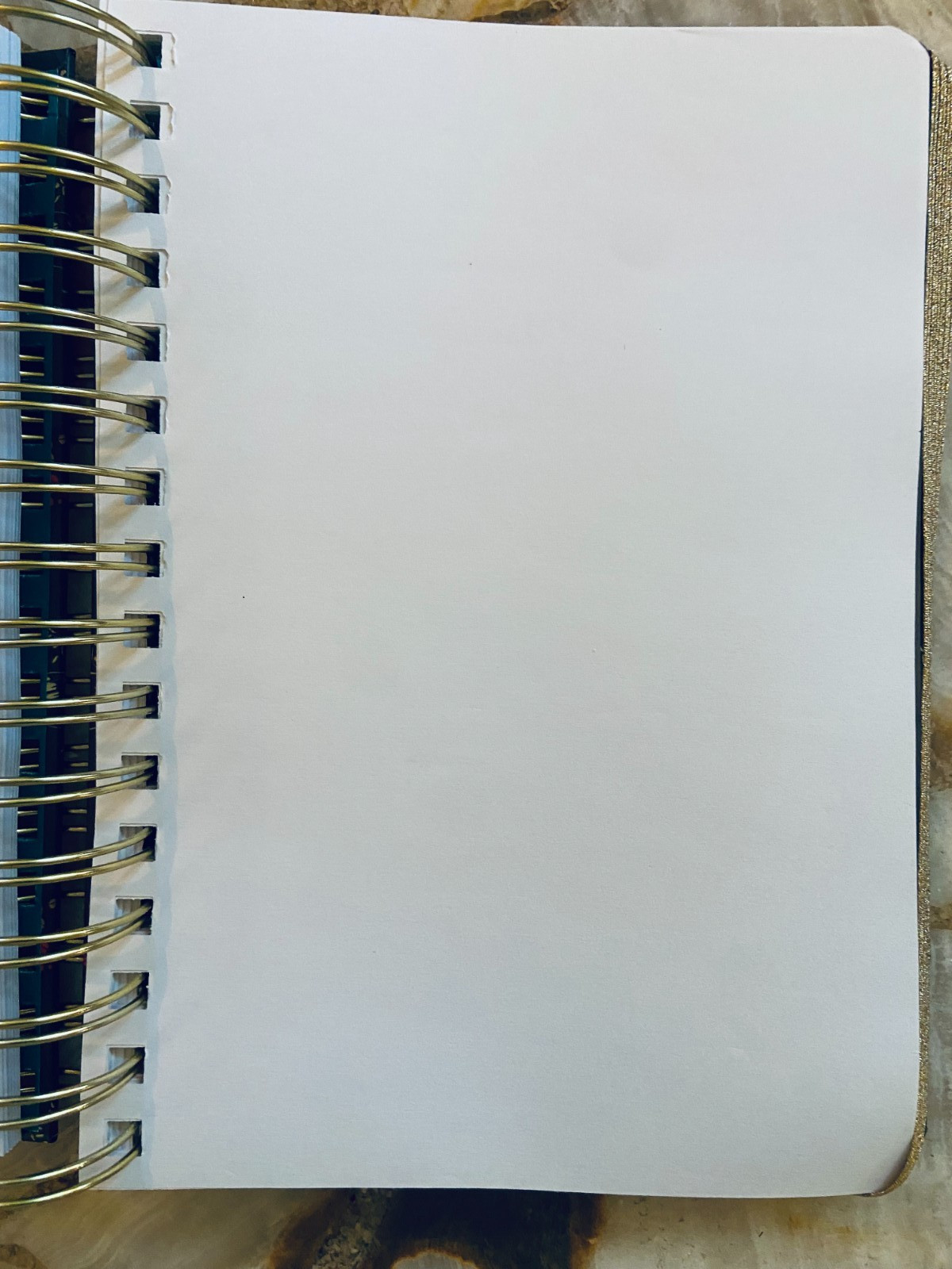 C.R.GIBSON~Portmeirion~Botanic Garden Harmony~Twin Wire~3-in-1 Notebook