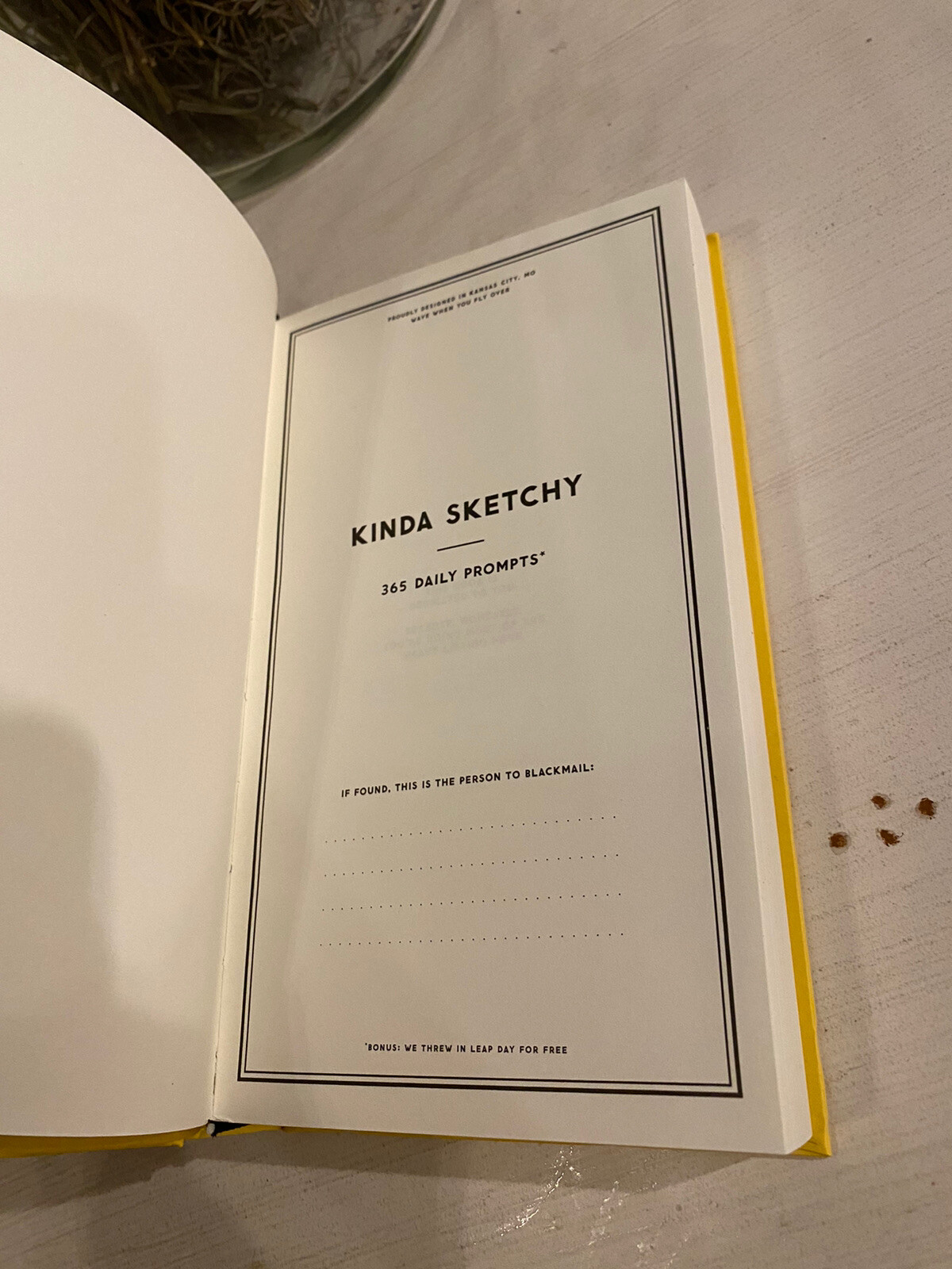 Kinda Sketchy by Easy, Tiger – New Prompted Journal Hard Cover 376 Pages, Yellow