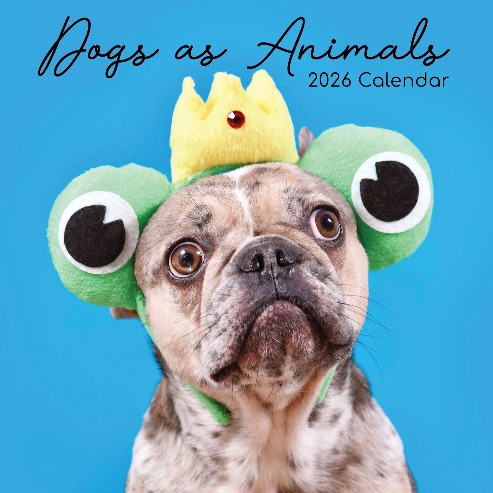 The Gifted Stationery 16 Month Square Wall Calendar – 2026 Planner…