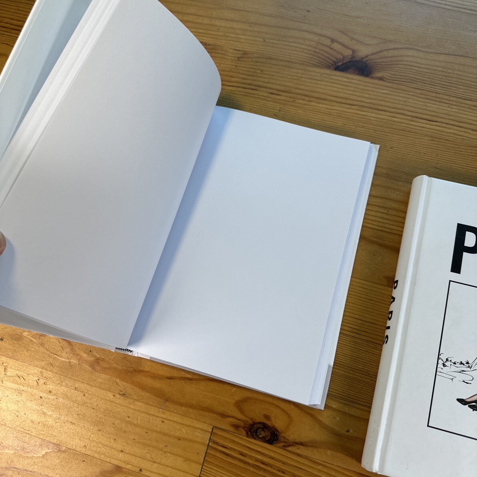 Lot Of Two New Journals London & Paris 9.5” X 6.5” Blank Unlined Pages Hardcover