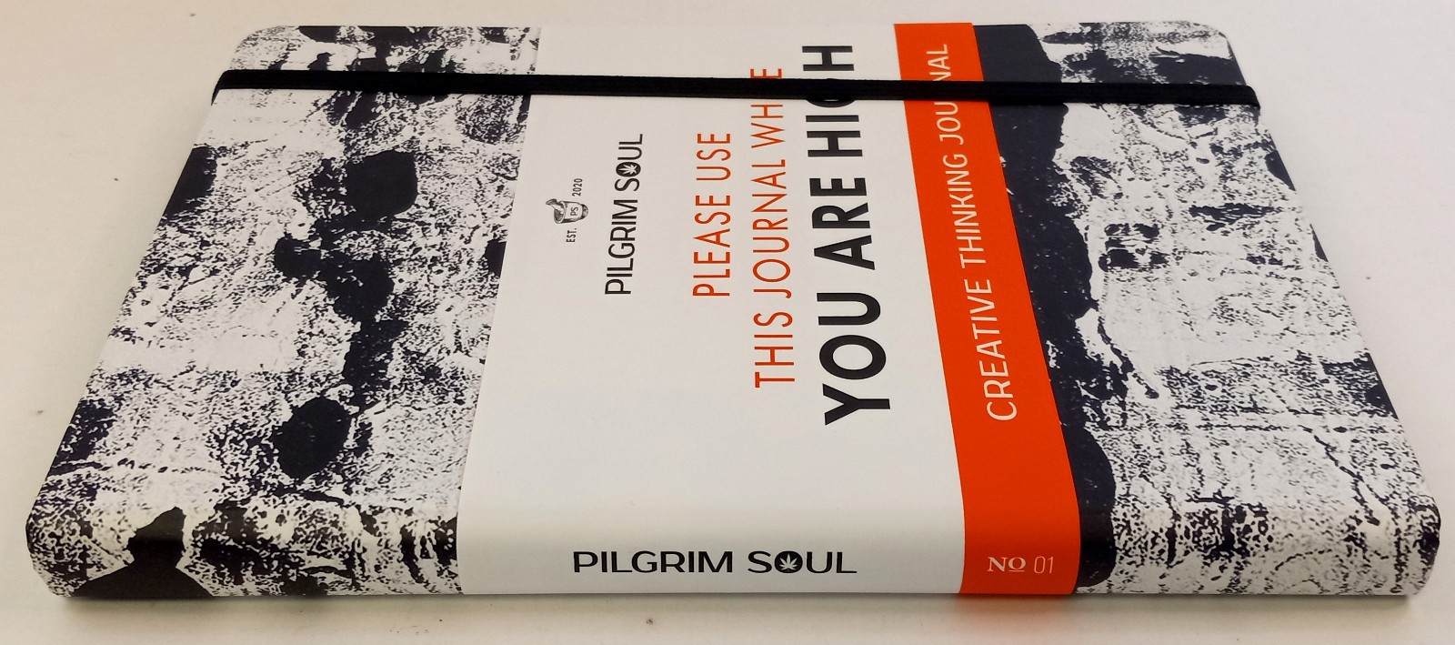 Creative Thinking Journal: Please Use this Journal While High Pilgrim Soul Blank