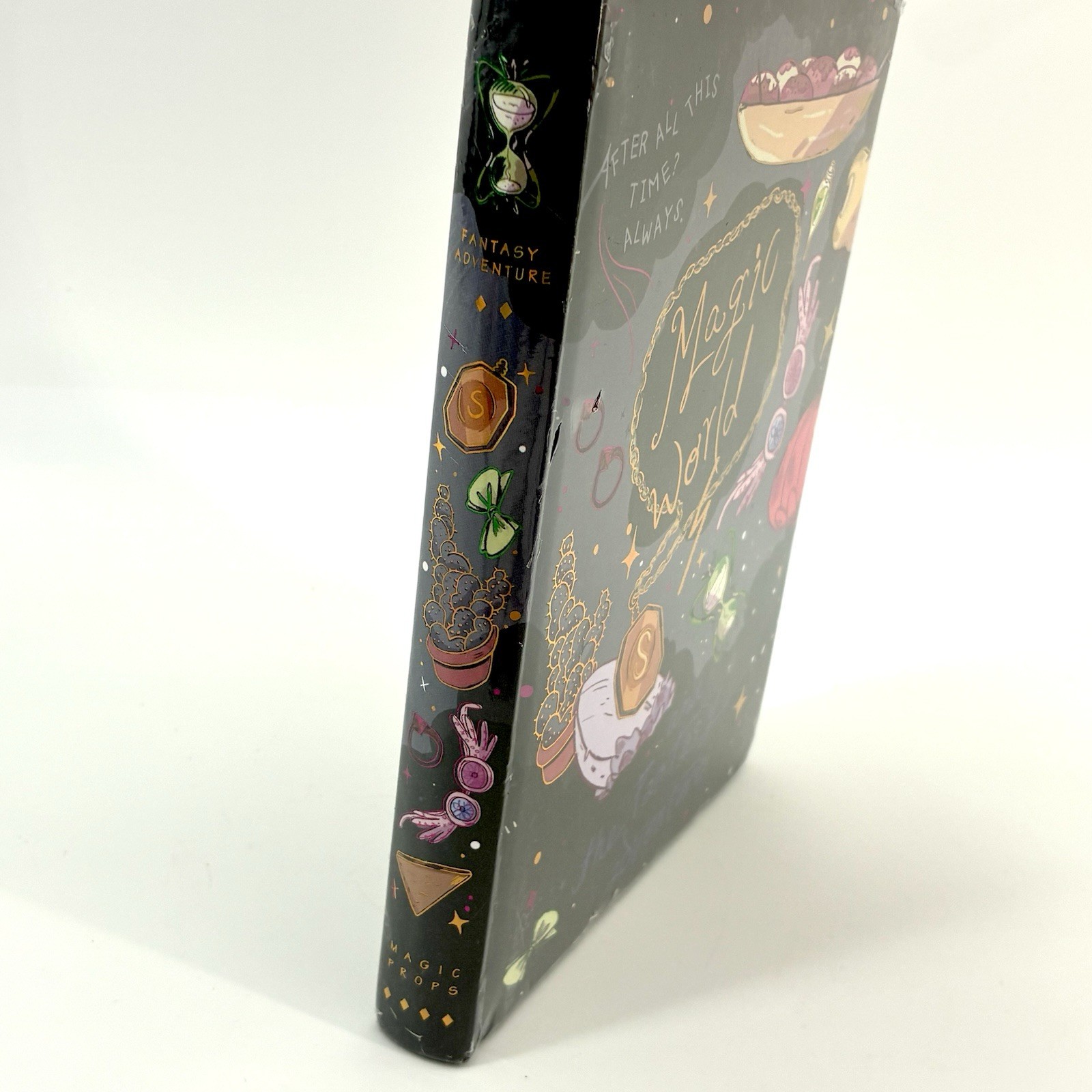 Magic World Fantasy Adventure Hardcover Journal Notebook HP After All This Time