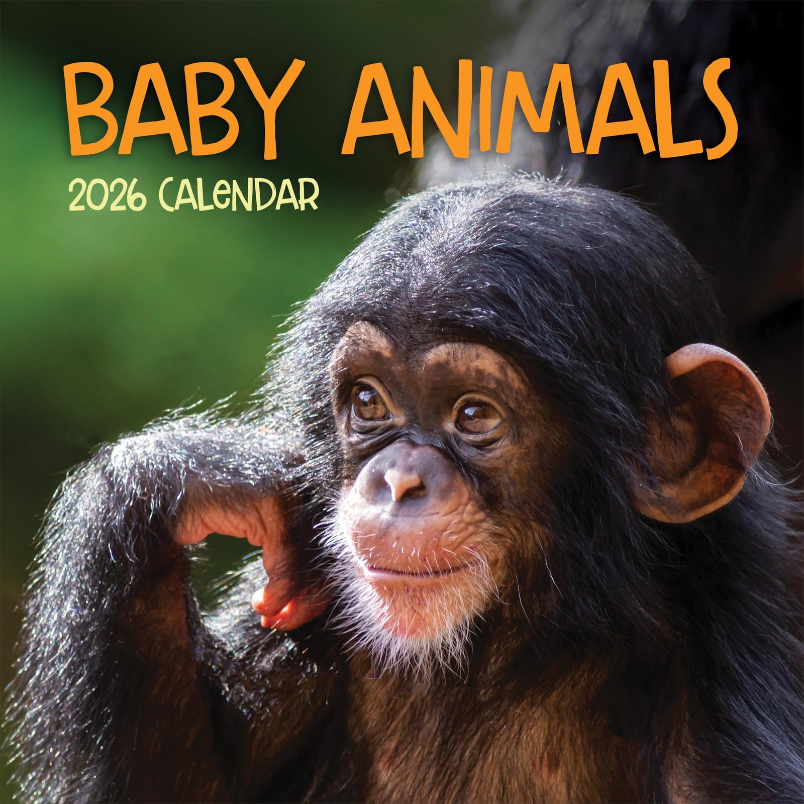 TF Publishing 2026 Baby Animals Wall Calendar – Large Grids for