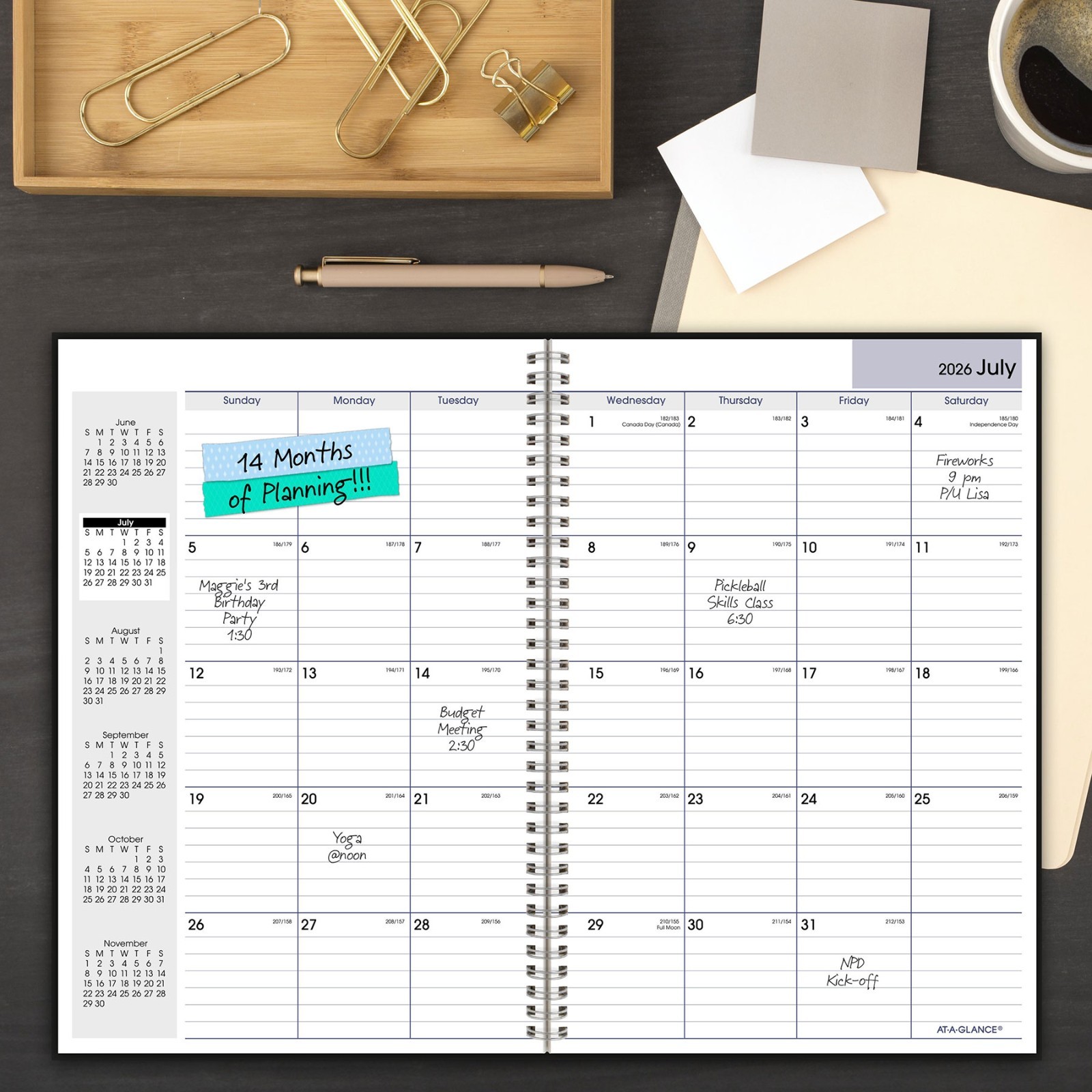 At-A-Glance 2026-2027 AY2-00 DayMinder Academic Monthly Planner, 8 x 12″
