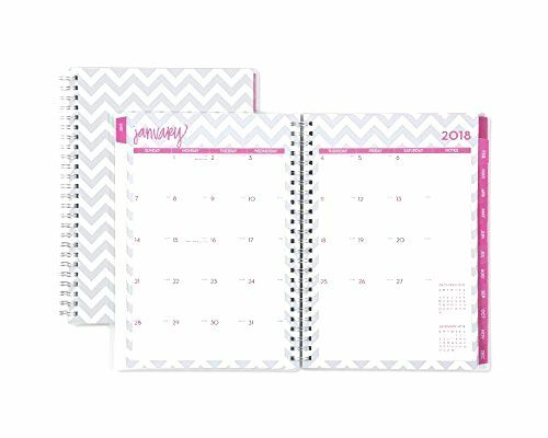 Blue Sky 2018 Weekly & Monthly Planner with Extra Notes Pages, Twin-Wire Binding