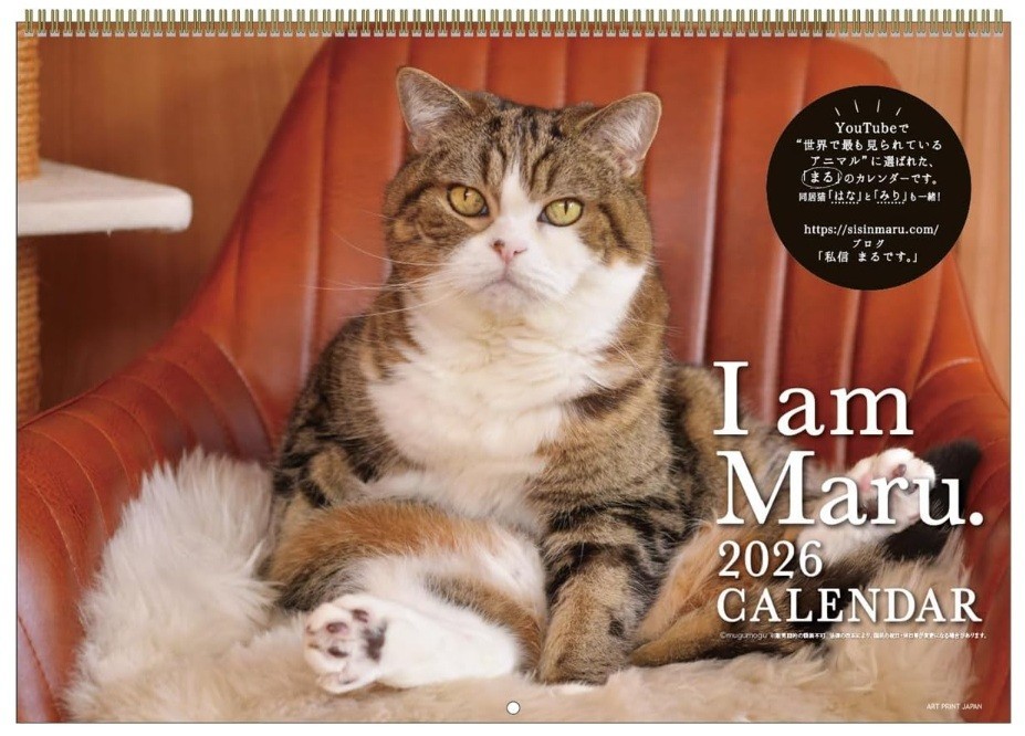 2026 Calendar Maru-chan Japanese Edition Cat Calendar 257×364ｍｍ NEW