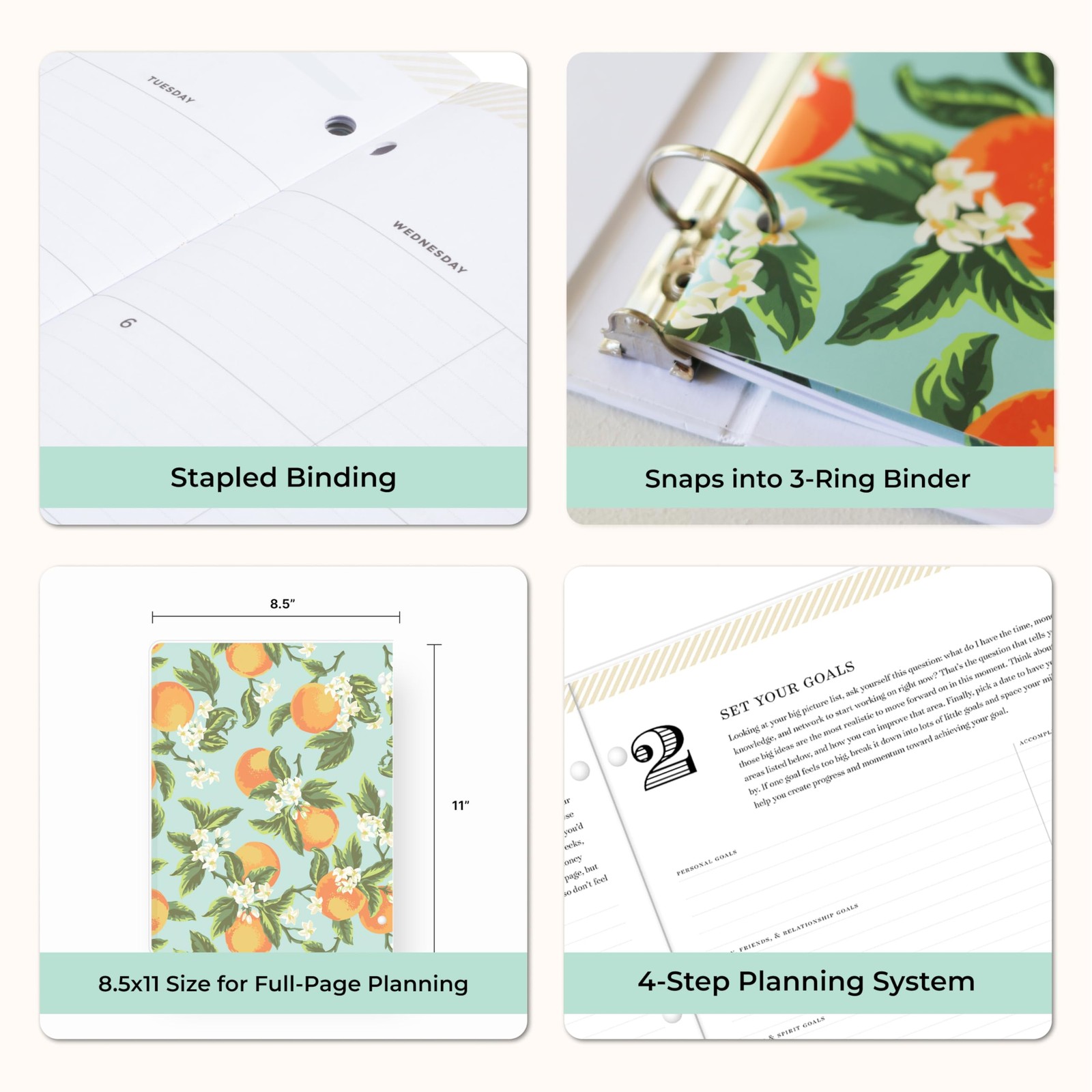 Day Designer 24 Month 2026 Monthly Planner Calendar, January 2026 – December …