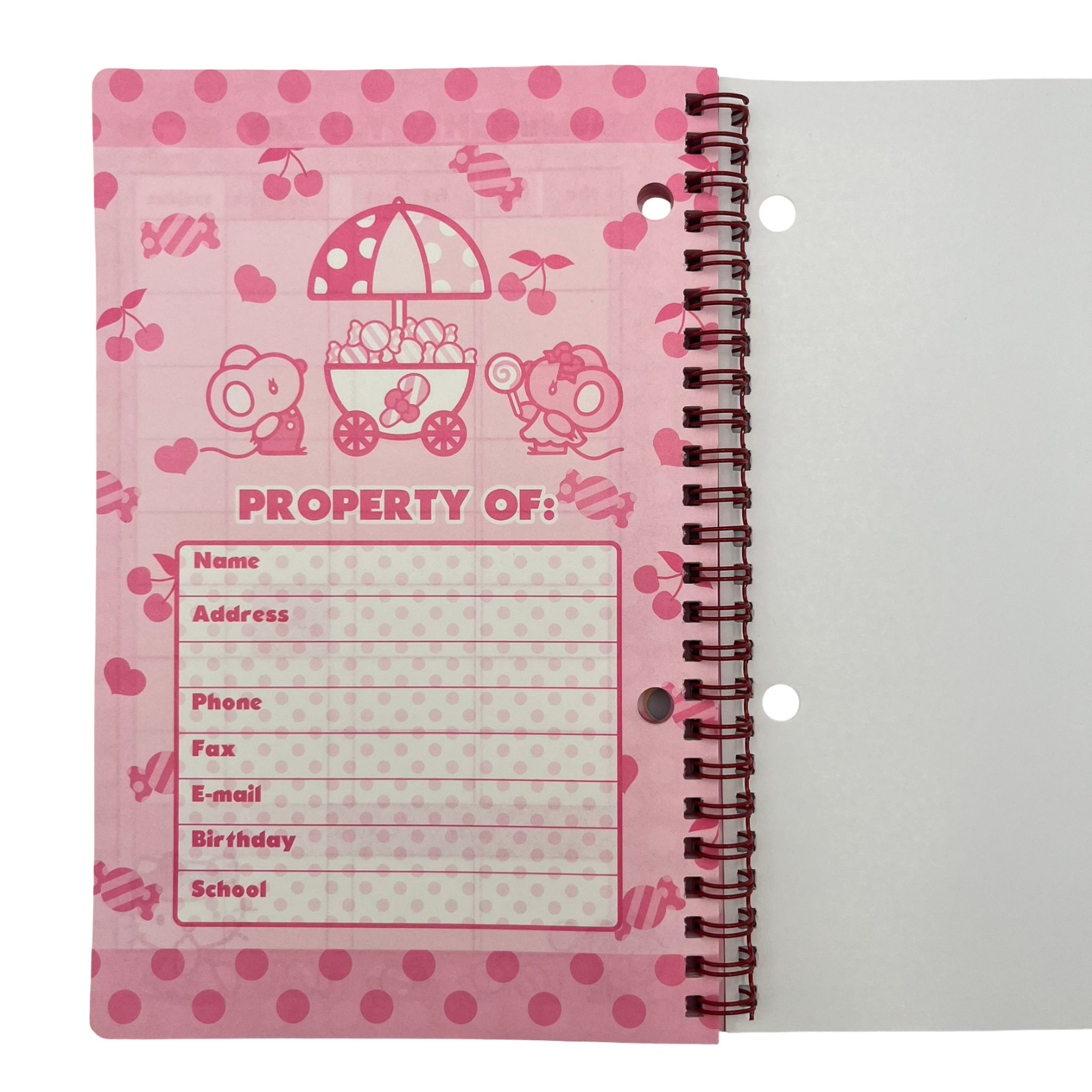 Hello Kitty Student Planner 60 Weeks+100 Stickers 2004 Sanrio New