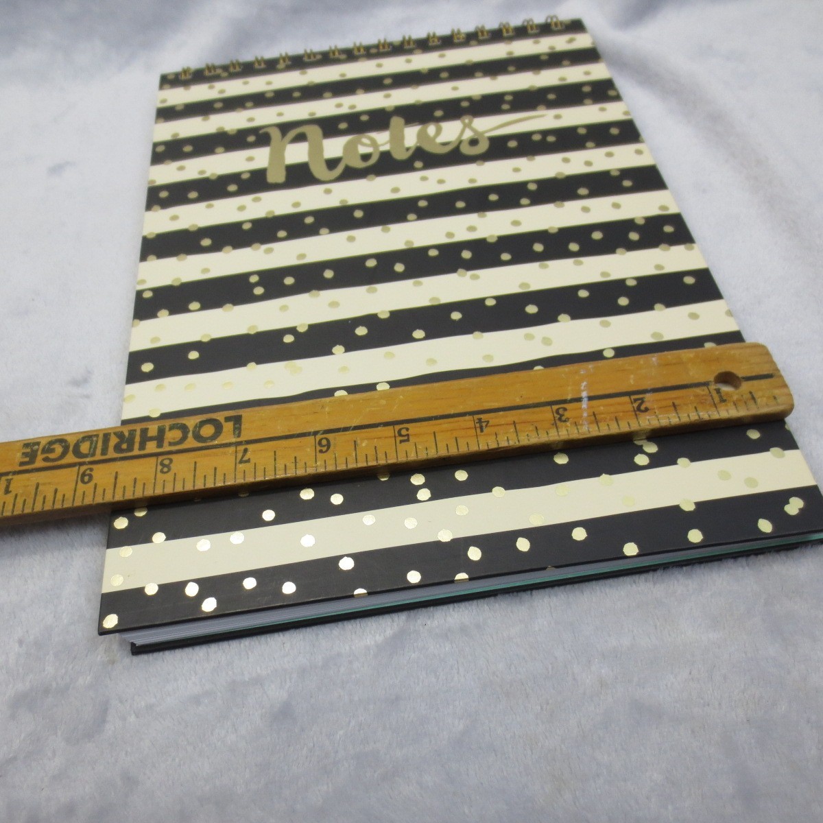 Clementine Paper Inc Black & Gold Stripes & Dots Spiral Notebook Notes Journal
