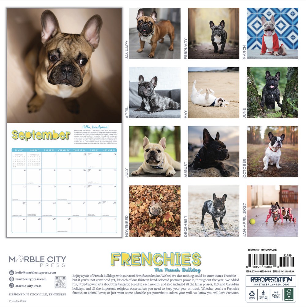 Frenchies Calendar 2026 | 12″ x 24″ 12 Month Calendar | Marble City Press