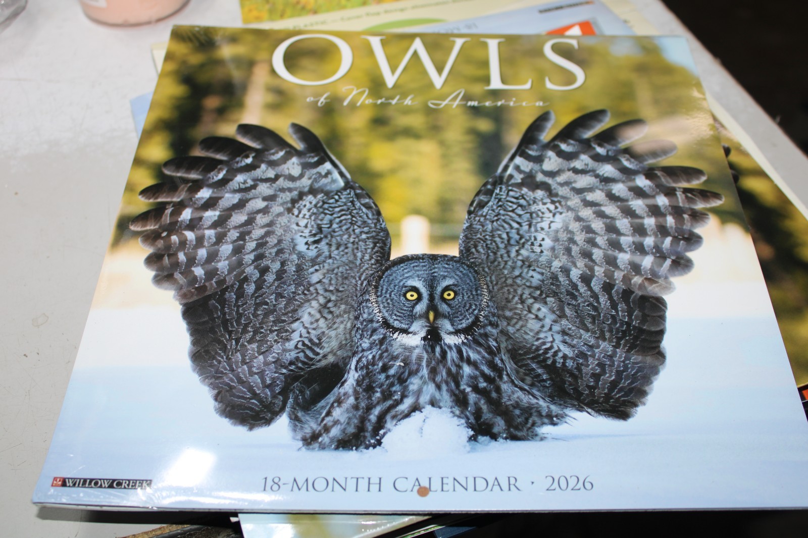 Owls 2026 12″ x 12″ Wall Calendar (free shipping)