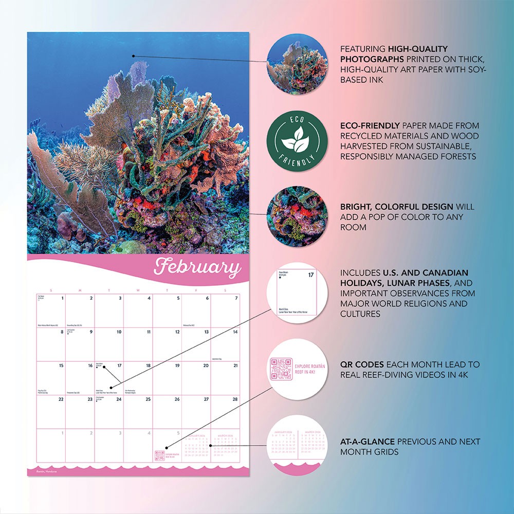 Coral | 2026 Coral Reef Wall Calendar | 12″ x 24″ | Marble City Press