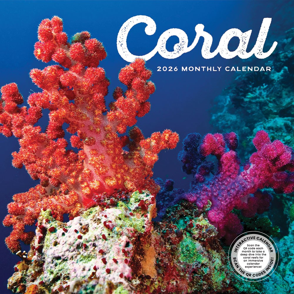 Coral | 2026 Coral Reef Wall Calendar | 12″ x 24″ | Marble City Press