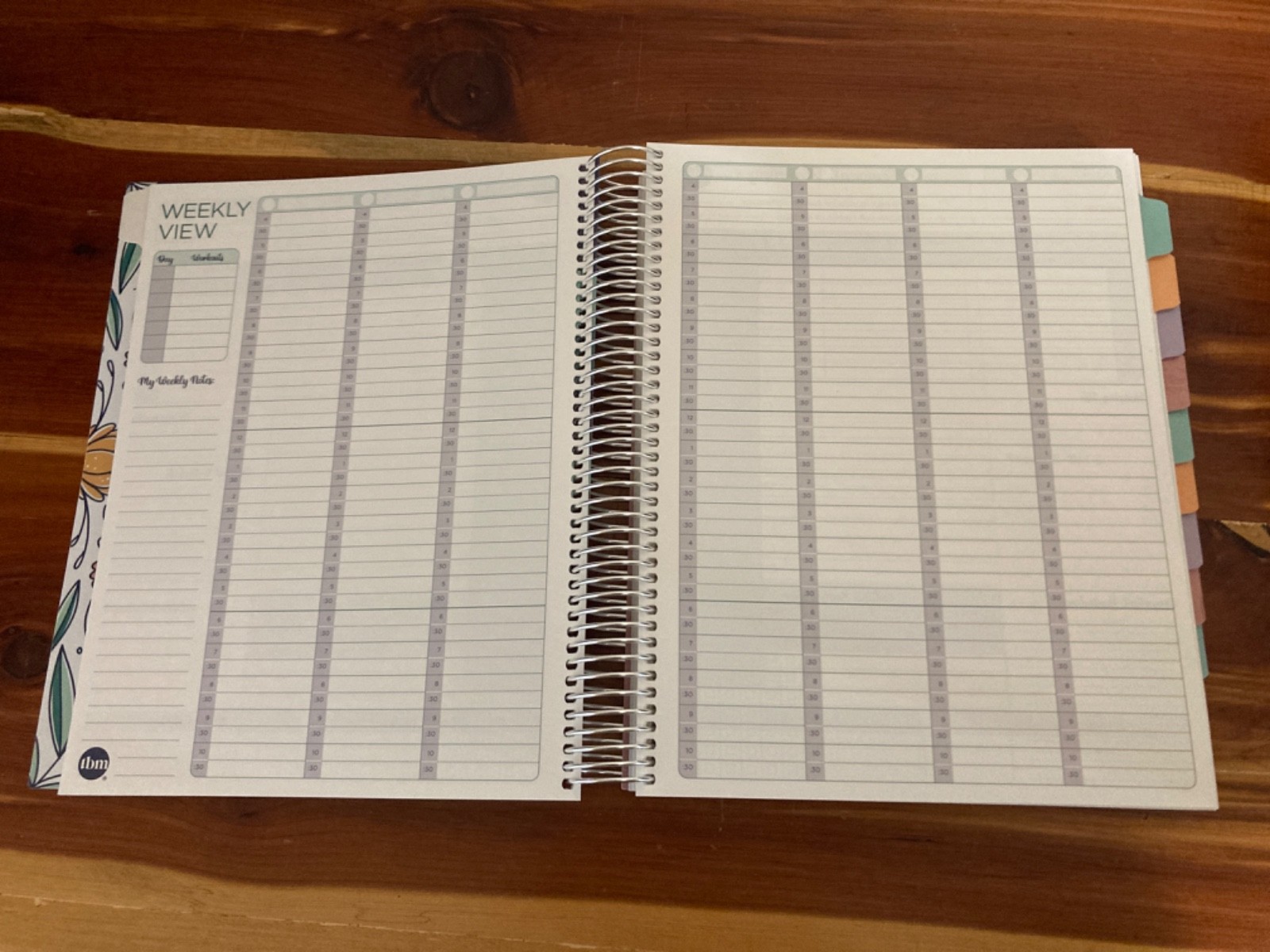 NEW The Budget Mom Live Rich Planner (Small) and Pink Folio