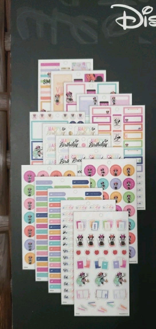 Happy Planner Disney All Smiles Minnie Mouse Teacher VALUE PACK STICKERS 767 Pcs