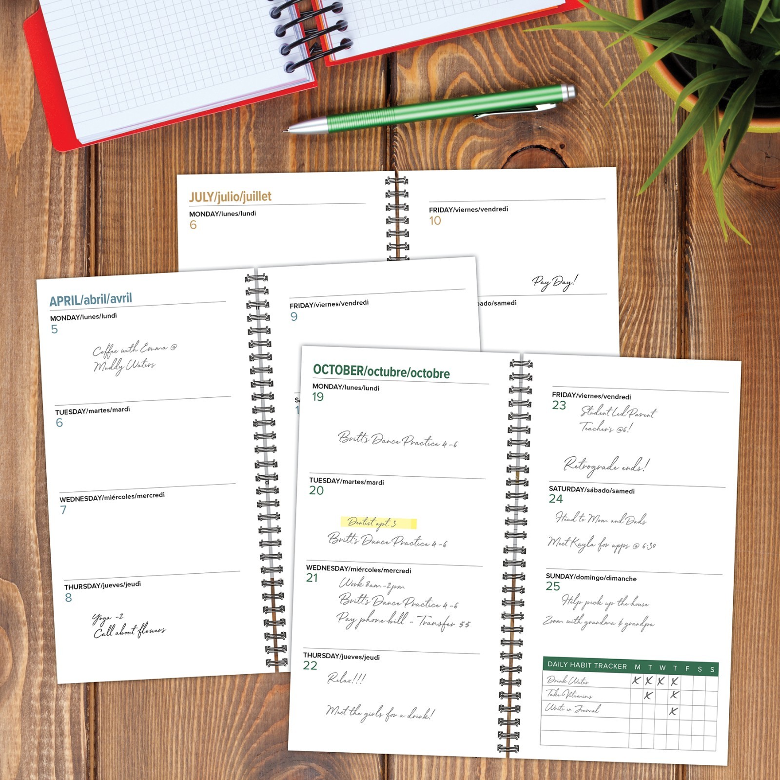 Fungi Files AY July 2026 – June 2027 3.5″ x 6.5″ Softcover Weekly Spiral Planner