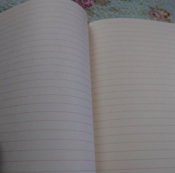 Gucci Baila Notebook Set of 4 My Gucci Book & My Scrap Book Oggi Limited JP NEW
