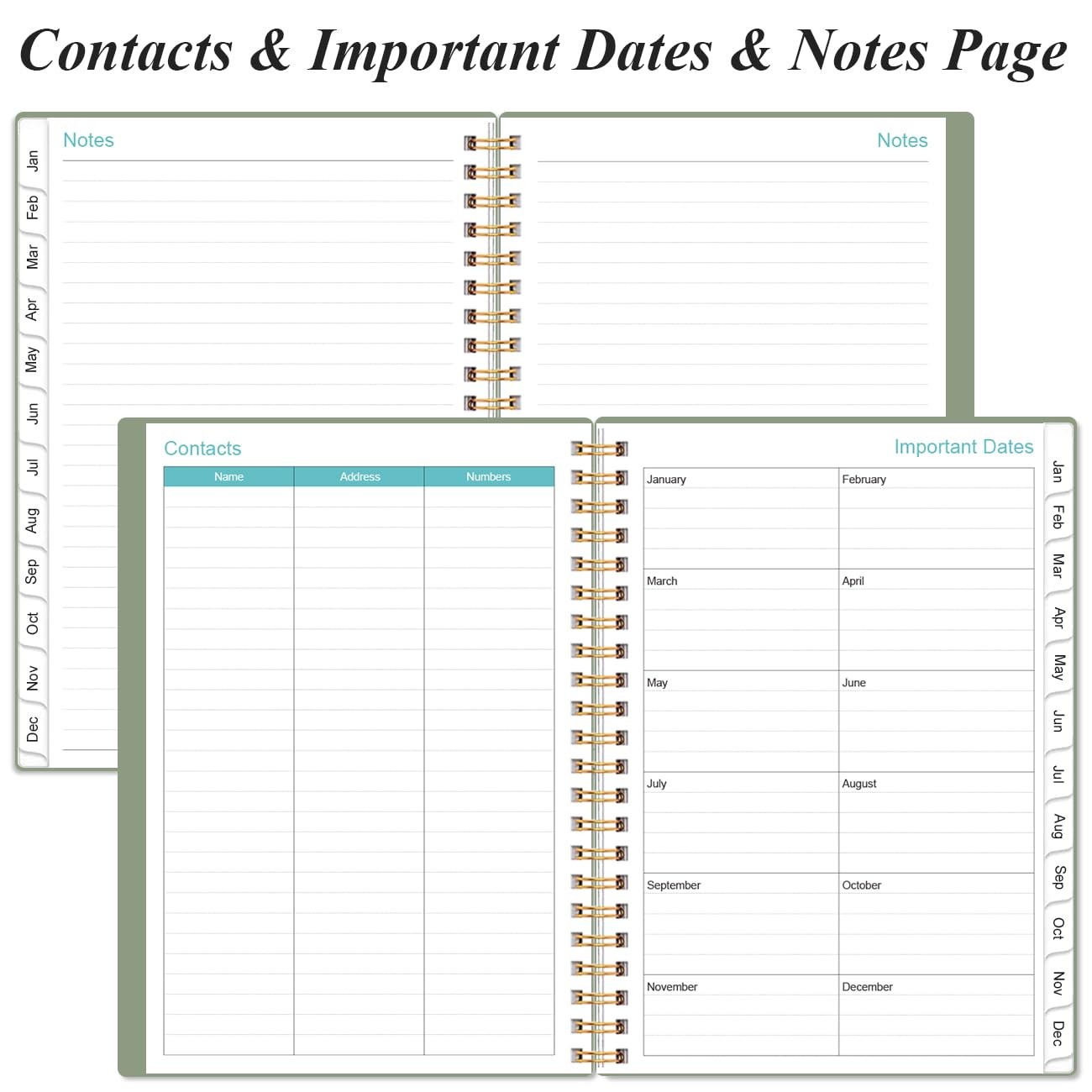 2026 Appointment Book & Planner – 2026 Daily Hourly 6.4″ x 8.5″, Green-D