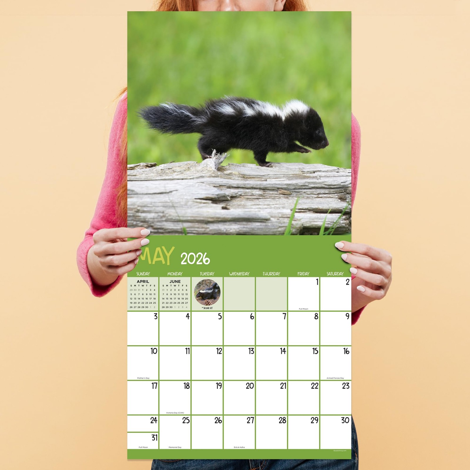 TF Publishing 2026 Baby Animals Wall Calendar – Large Grids for