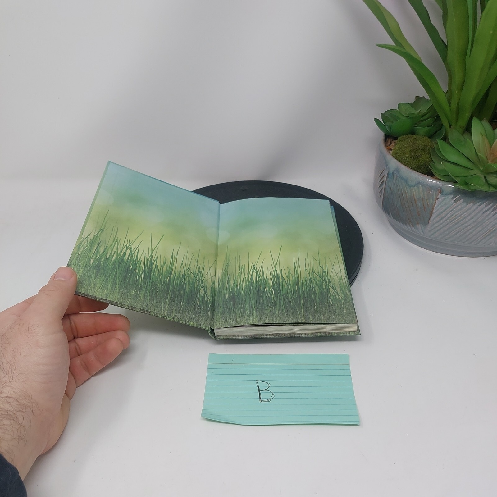 Guided Positivity Journal by 5 inches X 8 inch The Grass is Green Enough UNUSED