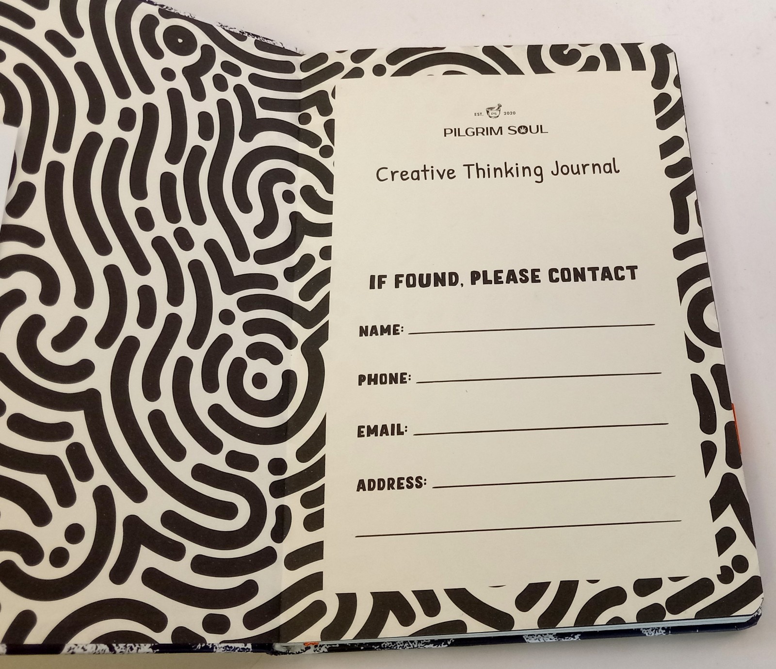 Creative Thinking Journal: Please Use this Journal While High Pilgrim Soul Blank