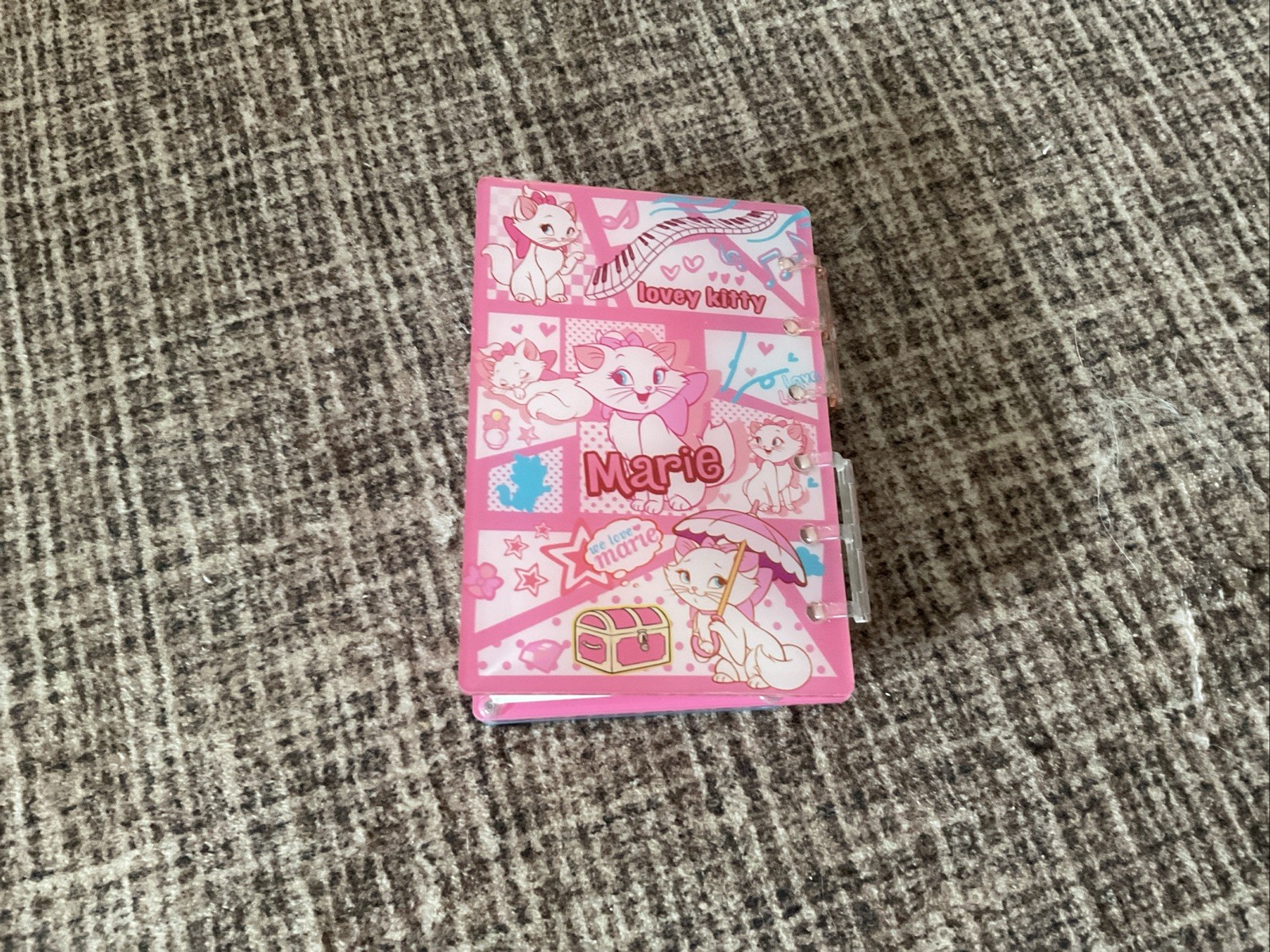 A6 Pocket Marie The Cat Shaker Notebook With Plain Pages