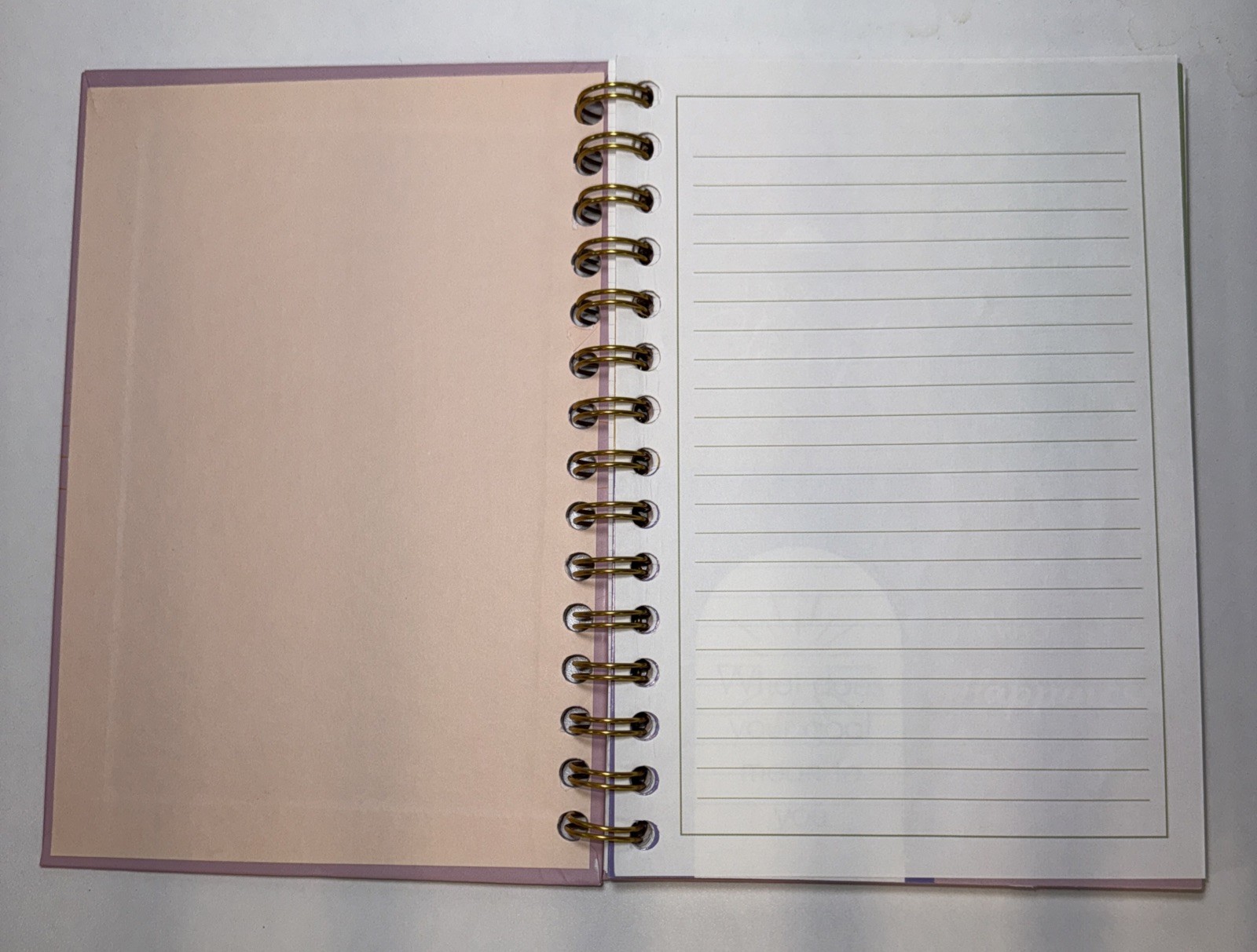 Spiral Journal 5.5in X 8in – ‘Your Future Is Bright’ – Pink