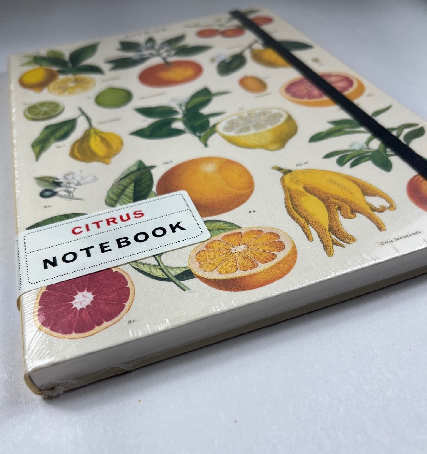 Cavallini & Co. Citrus Large Notebook with elastic closure