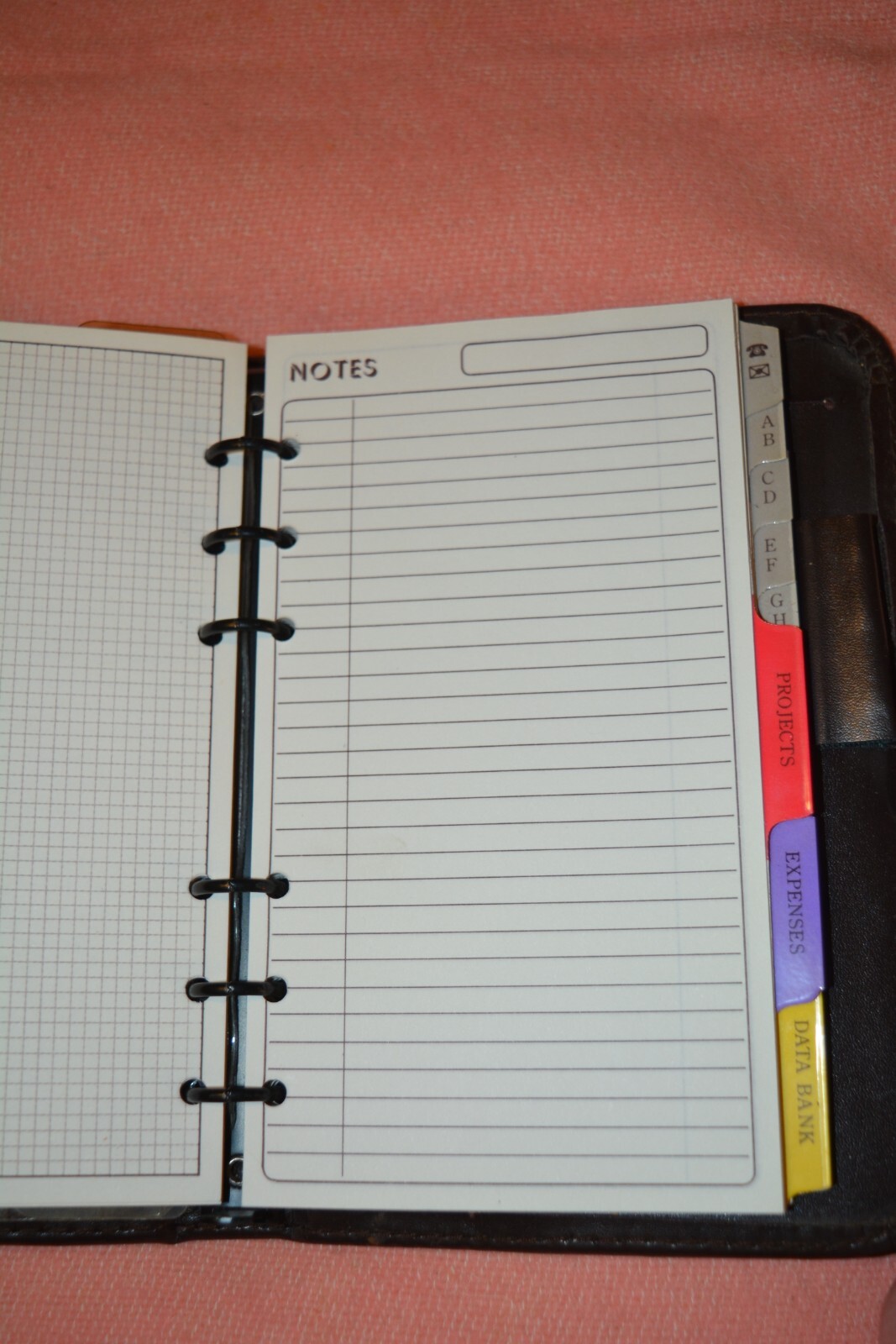 FORTUNE Day Timer Planner Day Runner Organizer Vinyl 6.75″ x 3/75 Inserts