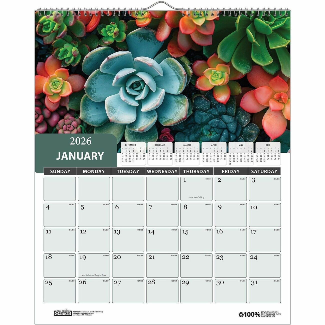 House of Doolittle Recycled Succulent & Cacti Wall Calendar (hod-317) (hod317)