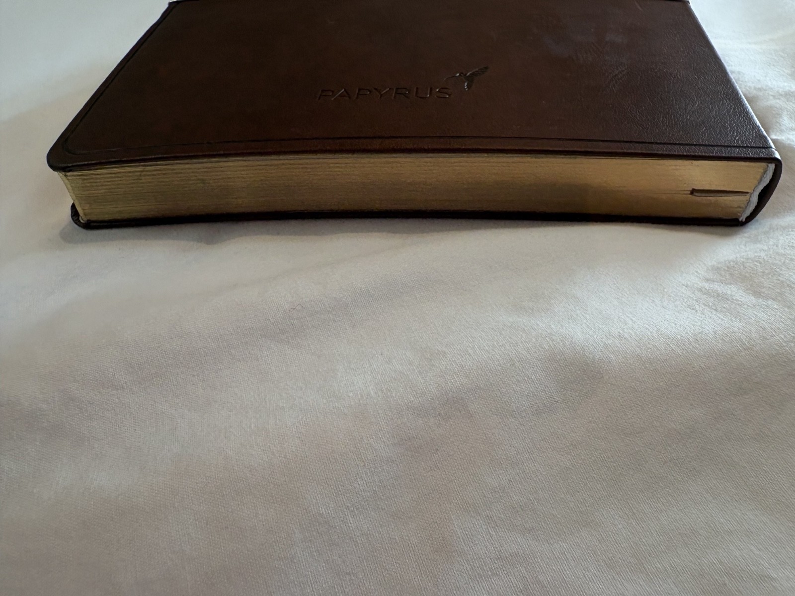 PAPYRUS Brown Ruled Gilded Notebook Journal 240 Pages Ivory Lined 7 x 9.75 GIFT