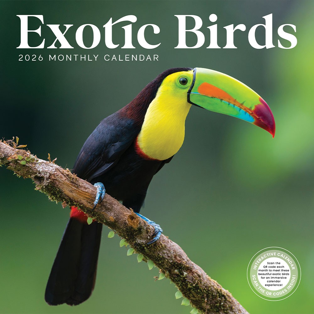 Exotic Birds Calendar 2026 | 12″ x 24″ 12 Month Calendar | Marble City Press