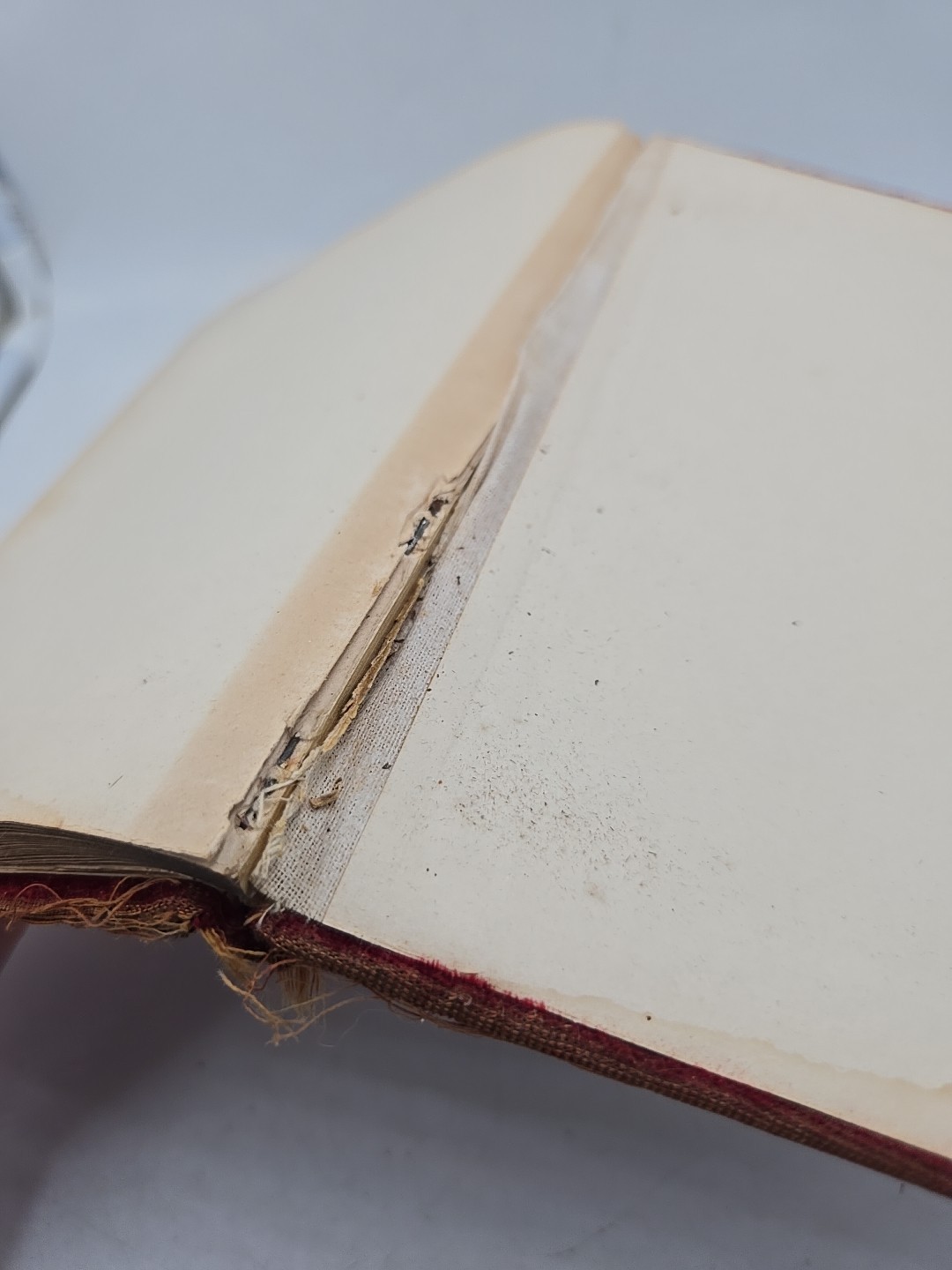 vintage late 1800s Journal
