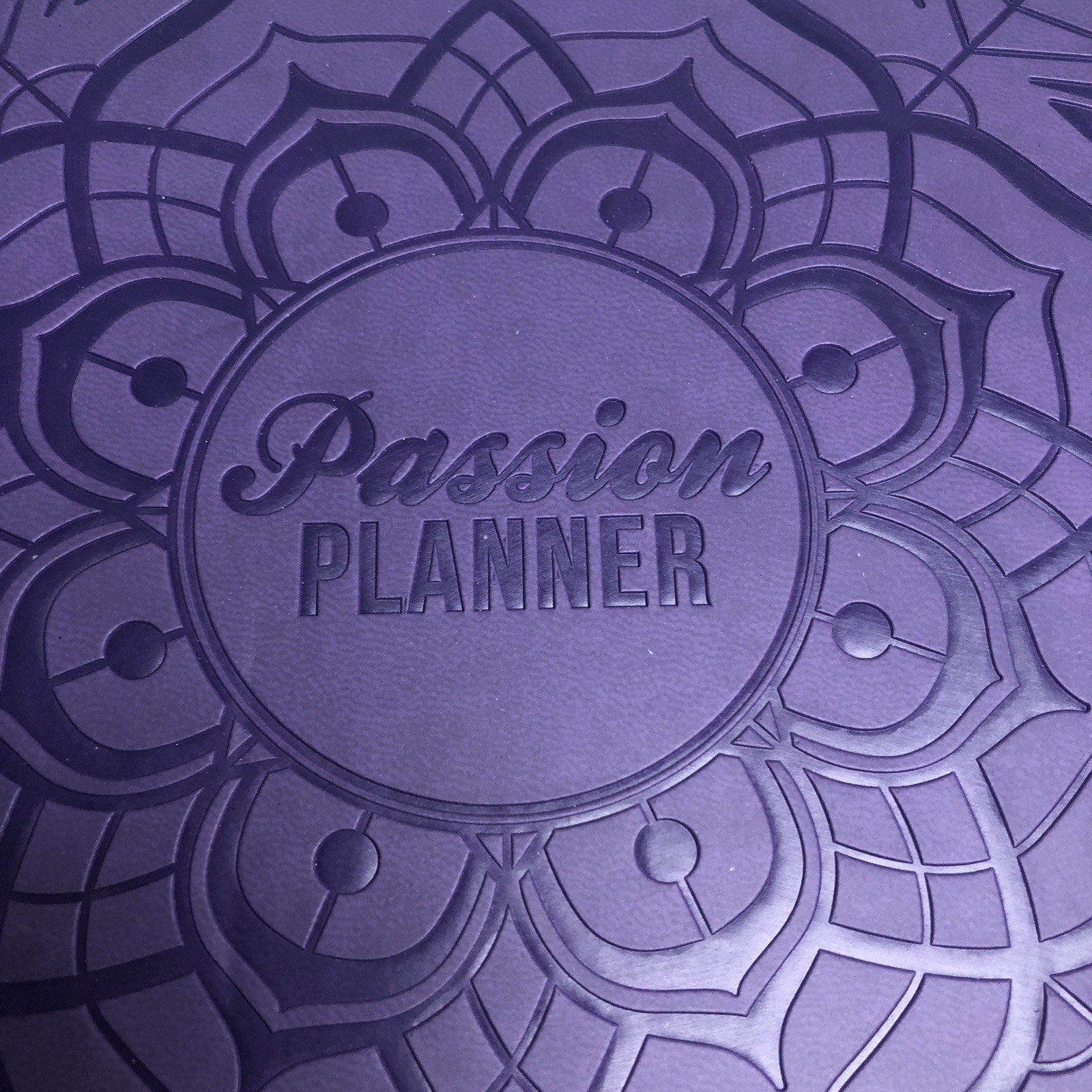 Passion Planner RARE Purple Large Weekly Undated 2017-2018 Monday Start Stickers