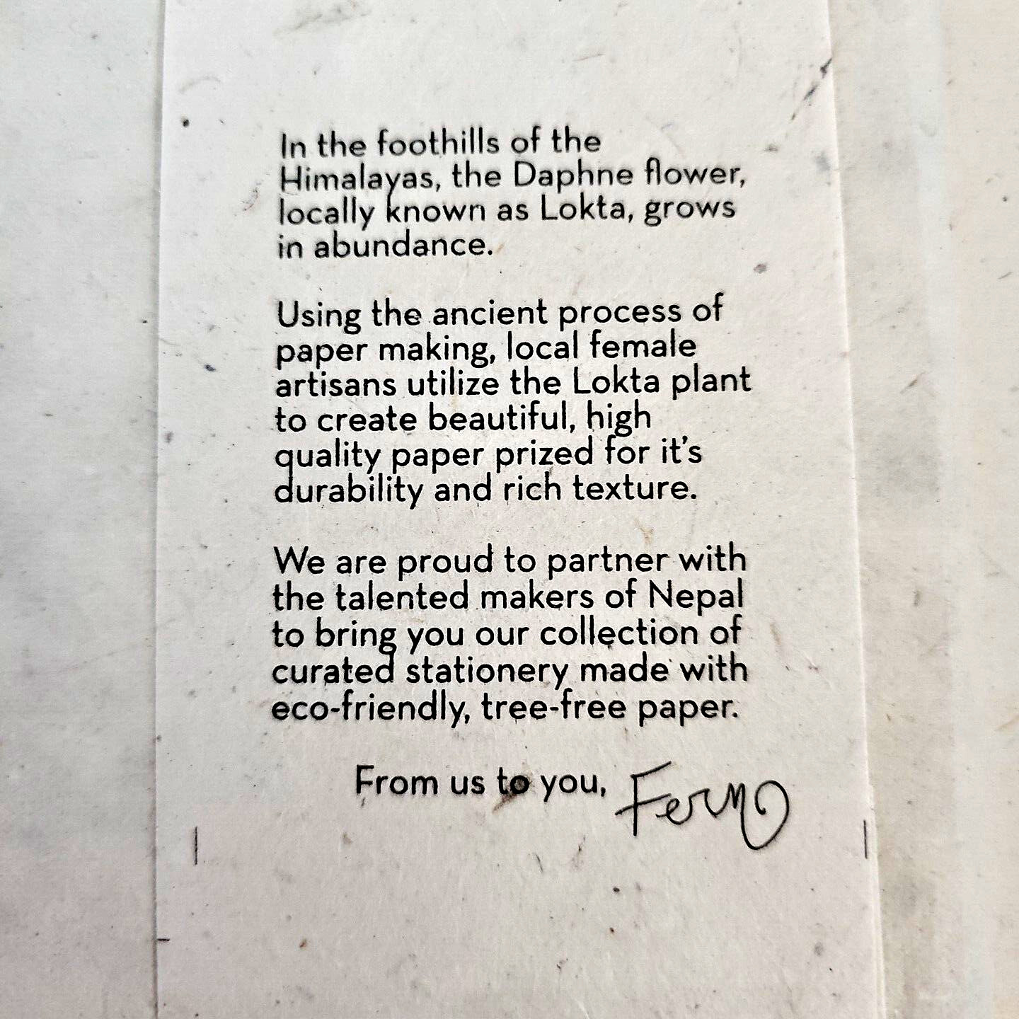Handmade Paper Craftsmanship Hardbound Notebook Fern & Co, Woman-Owned in Nepal