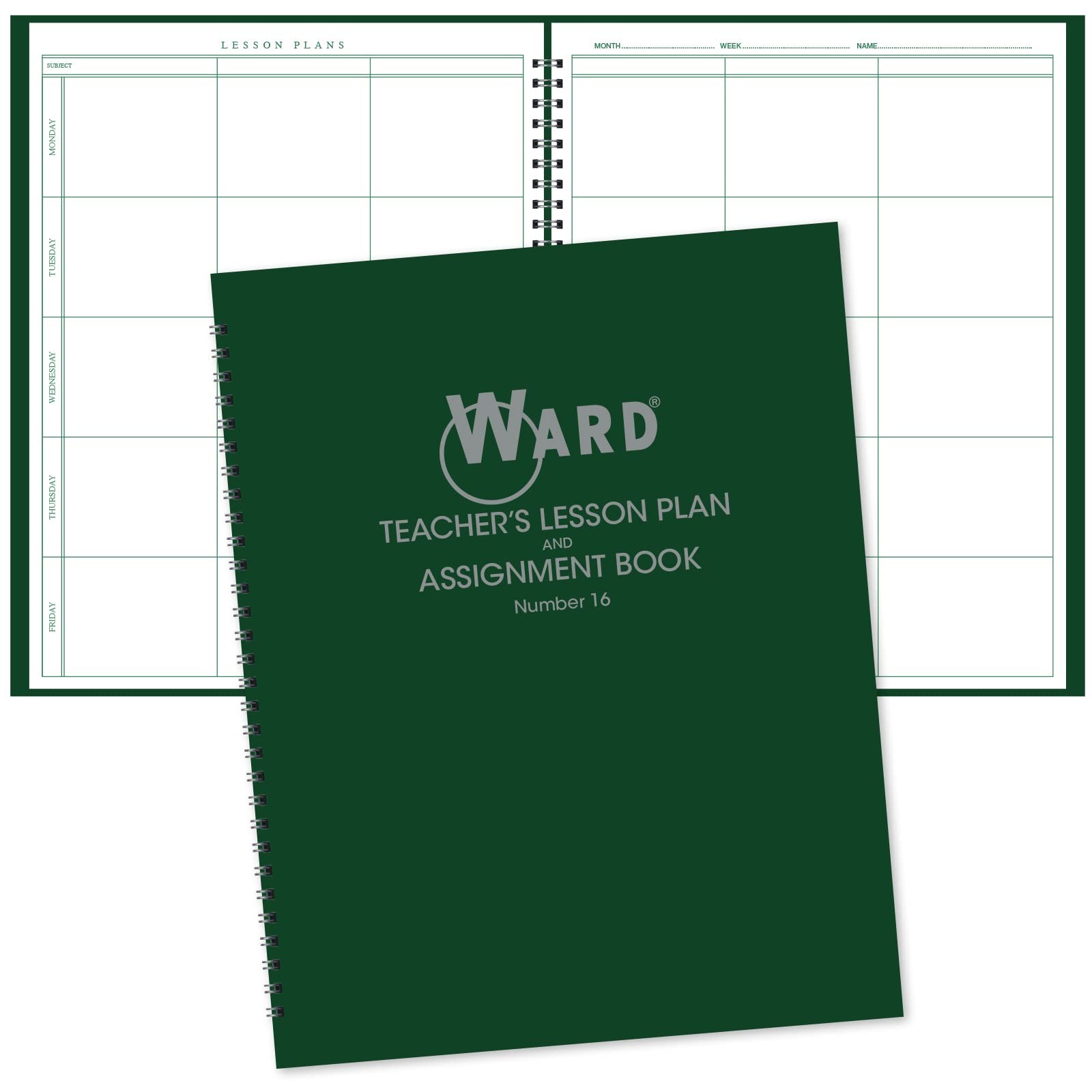 Ward 6 Period Teacher Lesson Plan/Assignment 8.5 inches X 11 inches, Green