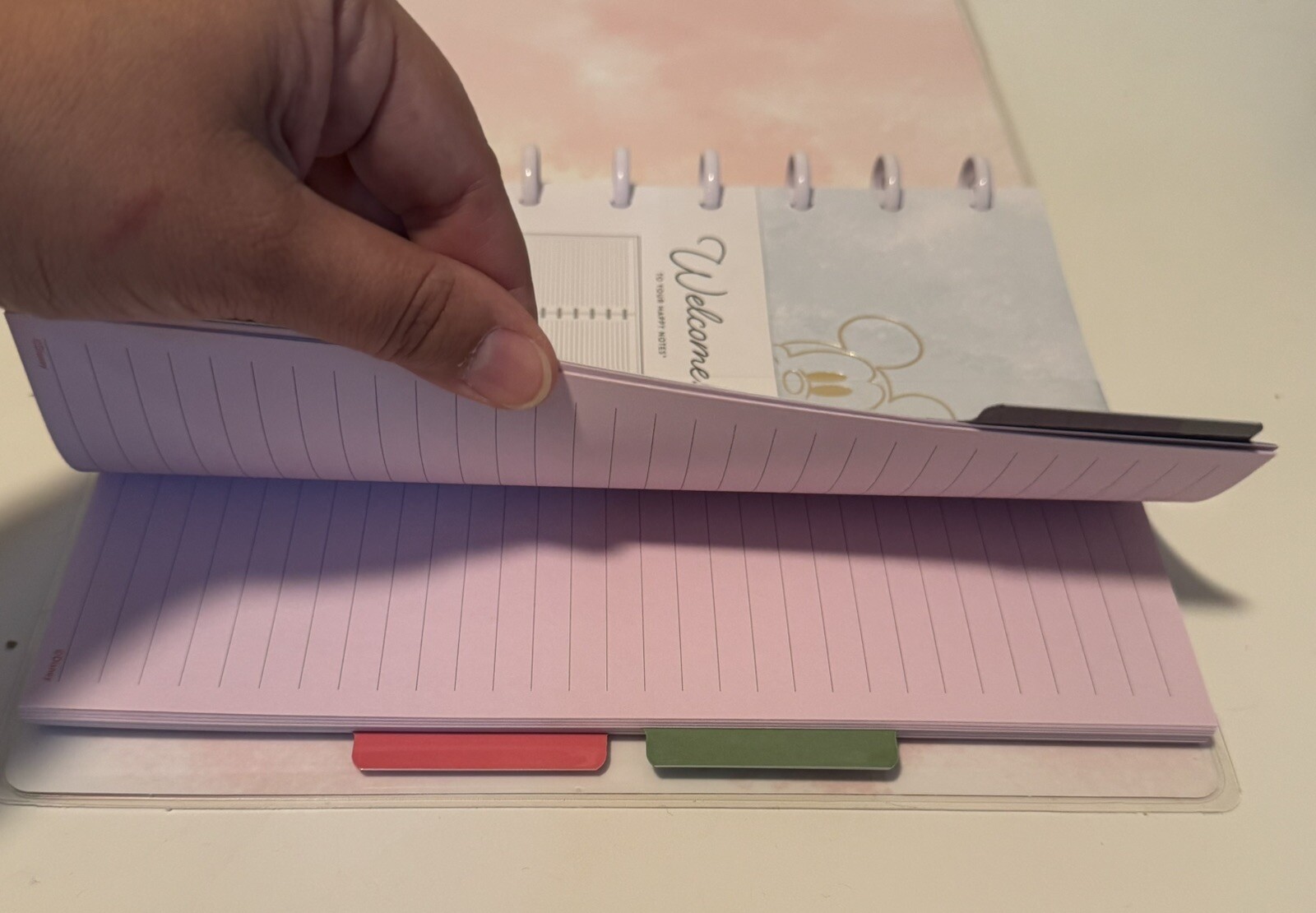 Disney Mickey Minnie Mouse The Happy Planner Classic Notebook