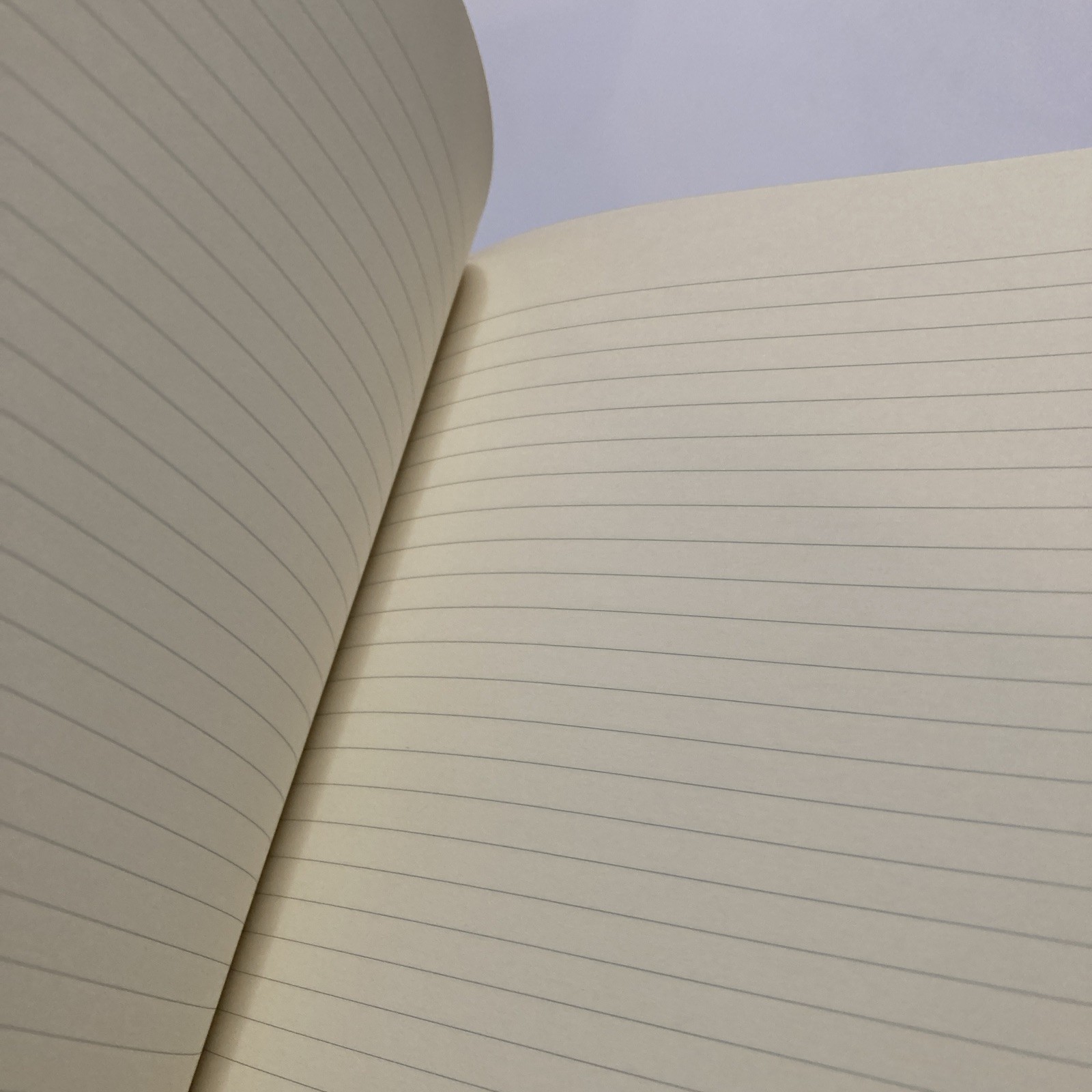TRU RED Large 8” x 10” Hardcover Ruled Journal, Black – Leather Black