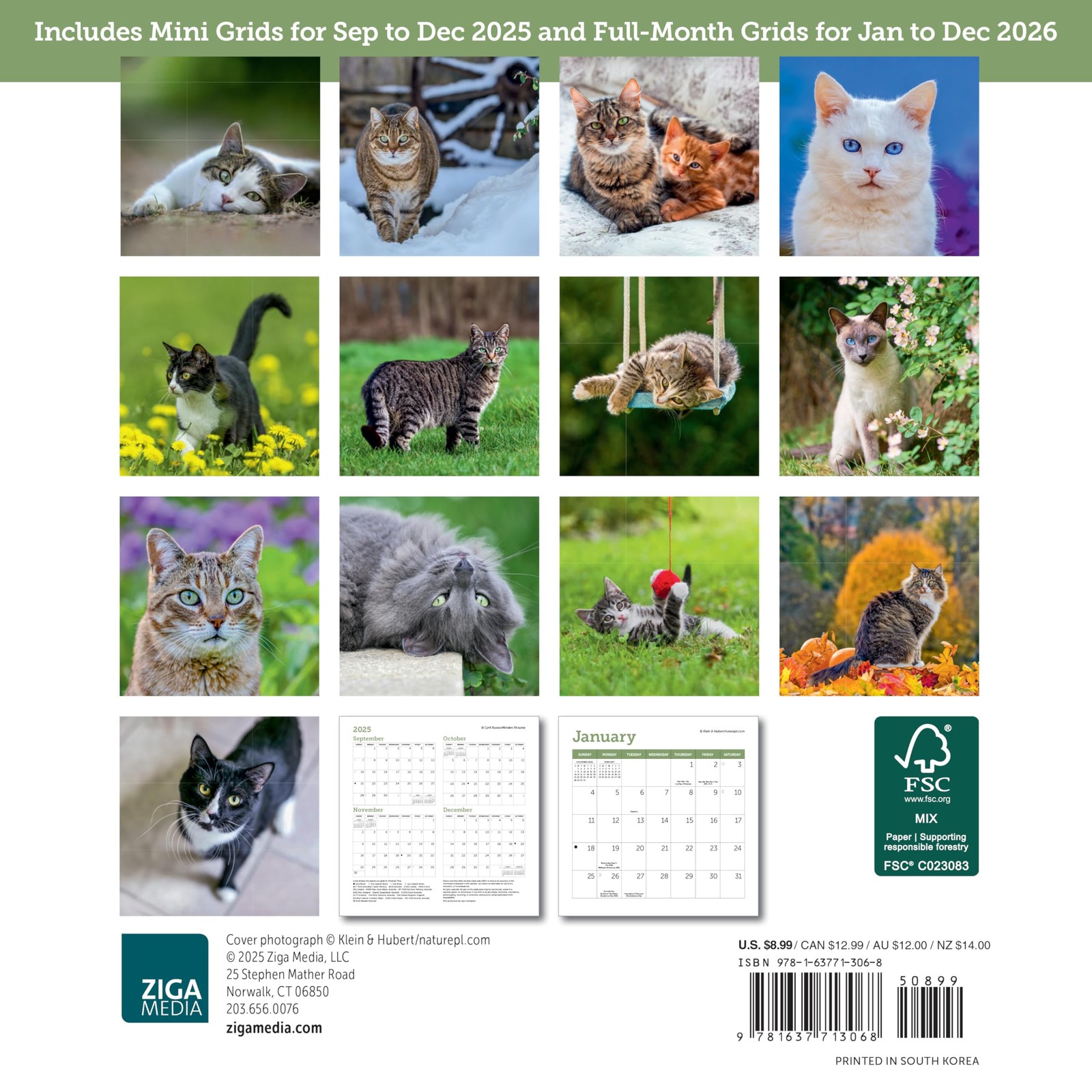 Cats Mini Wall Calendar 7″ x (2026) 7″W x 7″H, Multicolor