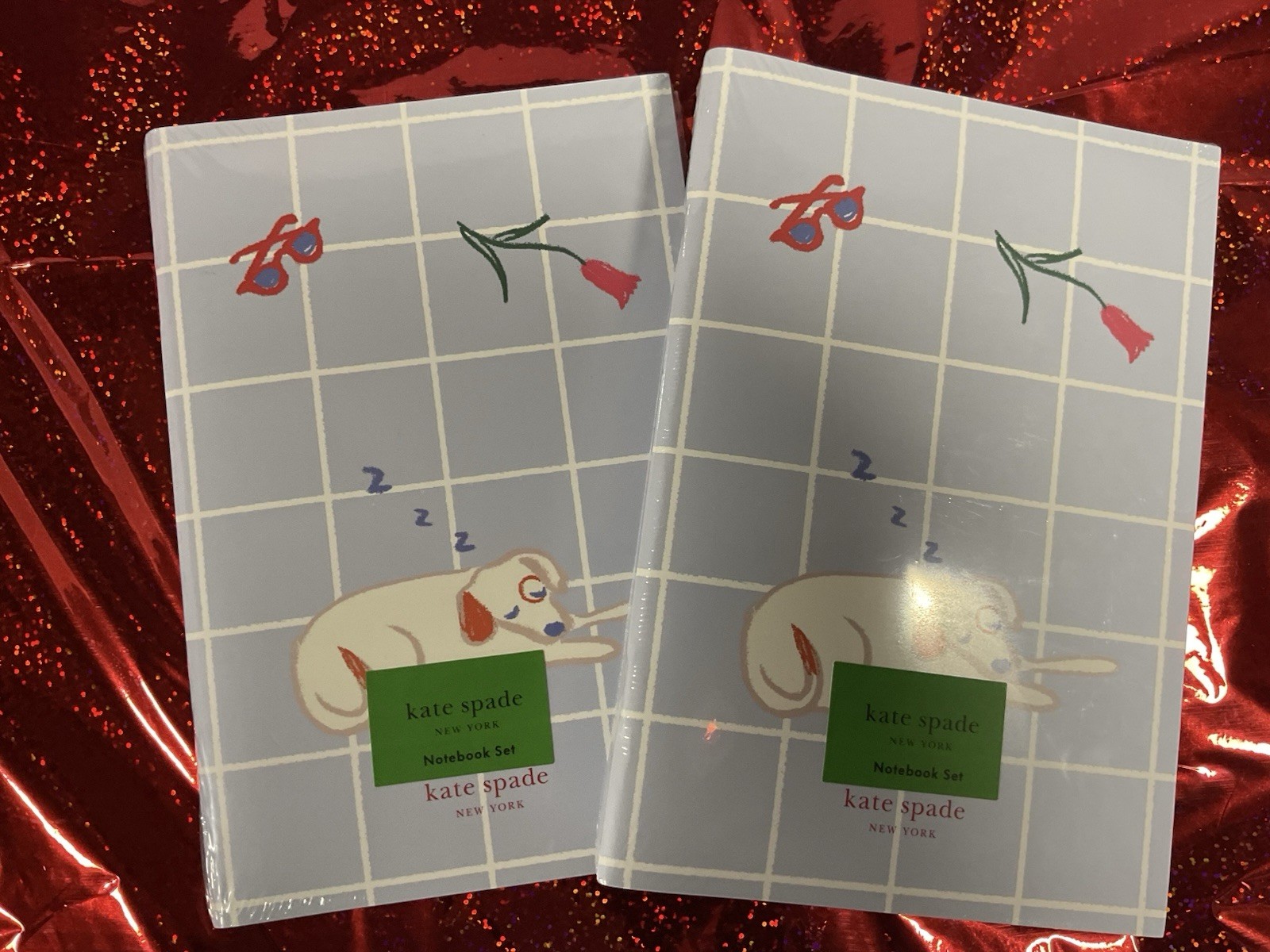 NWT Kate Spade Notebook Set Park Picnic Set Of 3 Notebook Duo