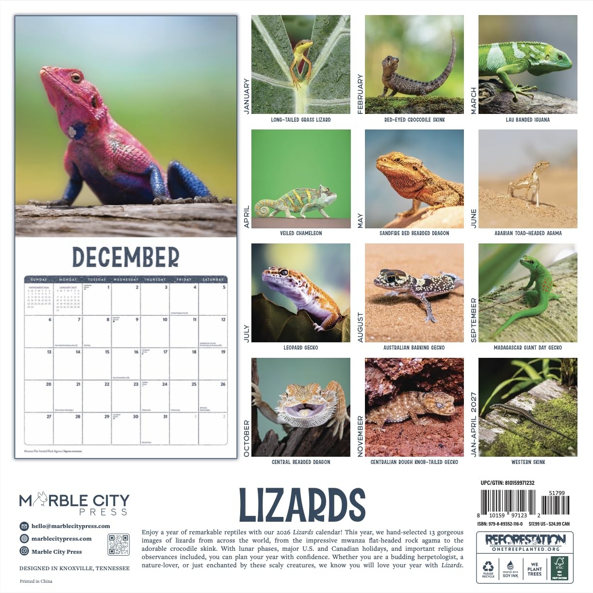 Lizards 2026 Calendar | Reptile Monthly Wall Planner | Geckos,