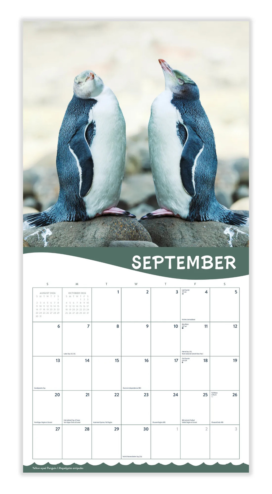 Penguins 2026 | 12″ x 24″ Cute Penguins Calendar 12 Month | Marble City Press