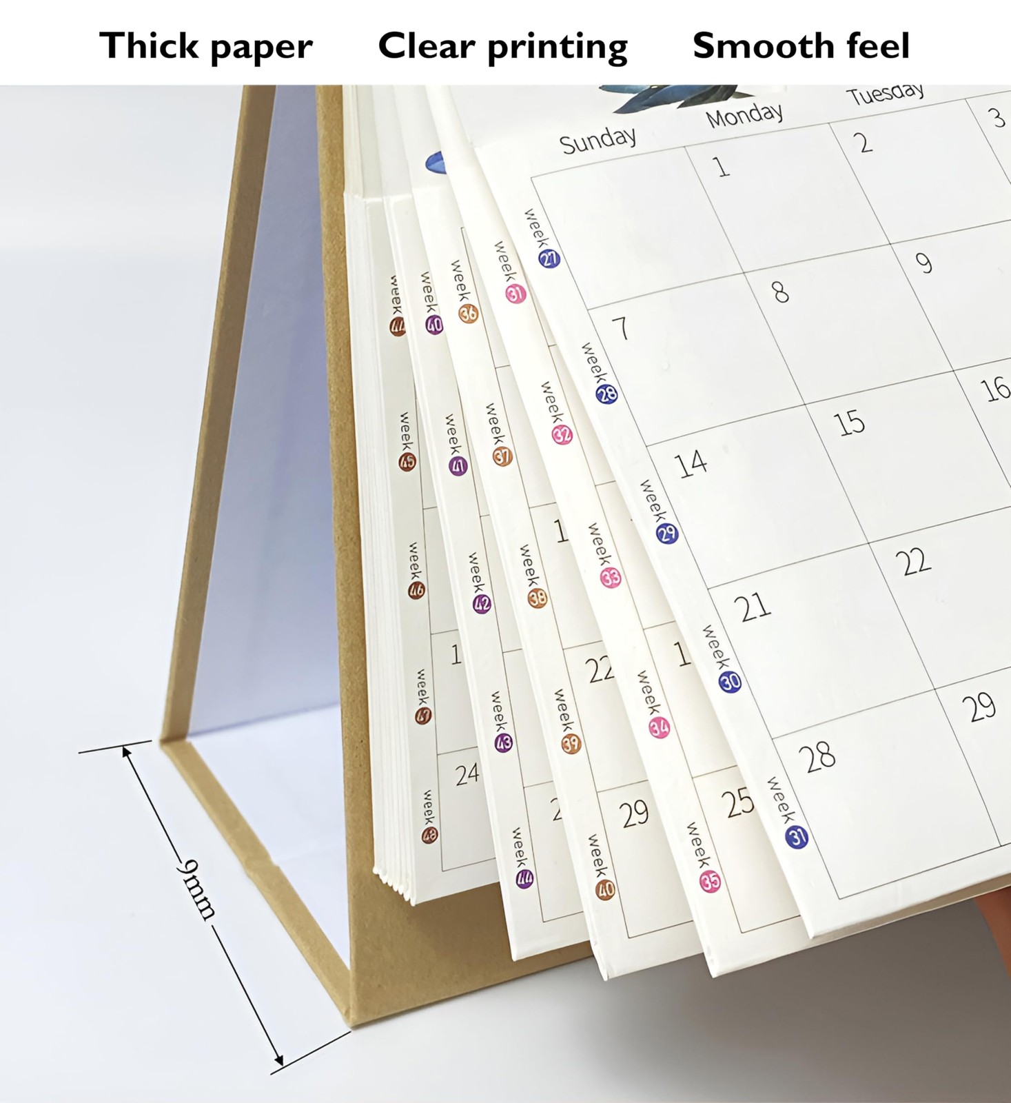 2026 Desk Calendar,12 Month Calendar,17″ x 12″,January 2026 Calendar