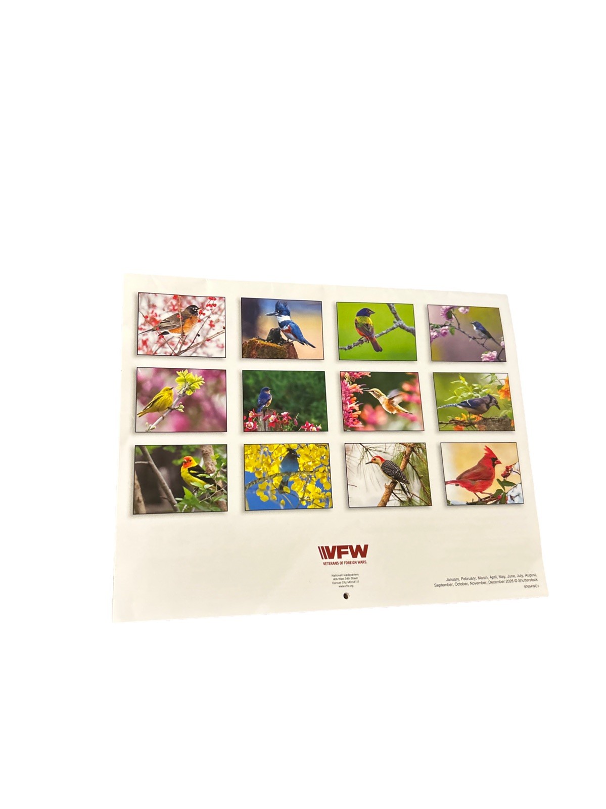 VFW Veterans of Foreign Wars Birds Nature Flowers 12 Month 2026 Wall Calendar