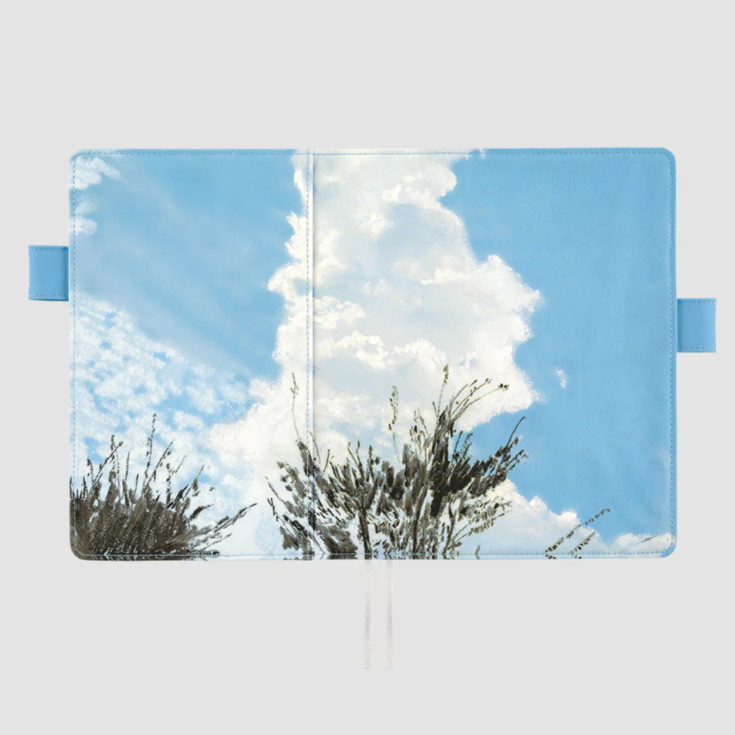 Hobonichi Techo Cover Kyohei Sakaguchi Field Sky A5 Cousin w/Cover on Cover New