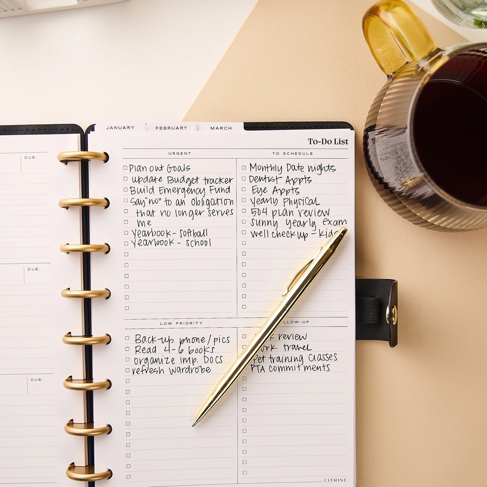 Blue Sky Citrine 2026 Calendar Planner Weekly New Year Faux Black Suede Ribbon